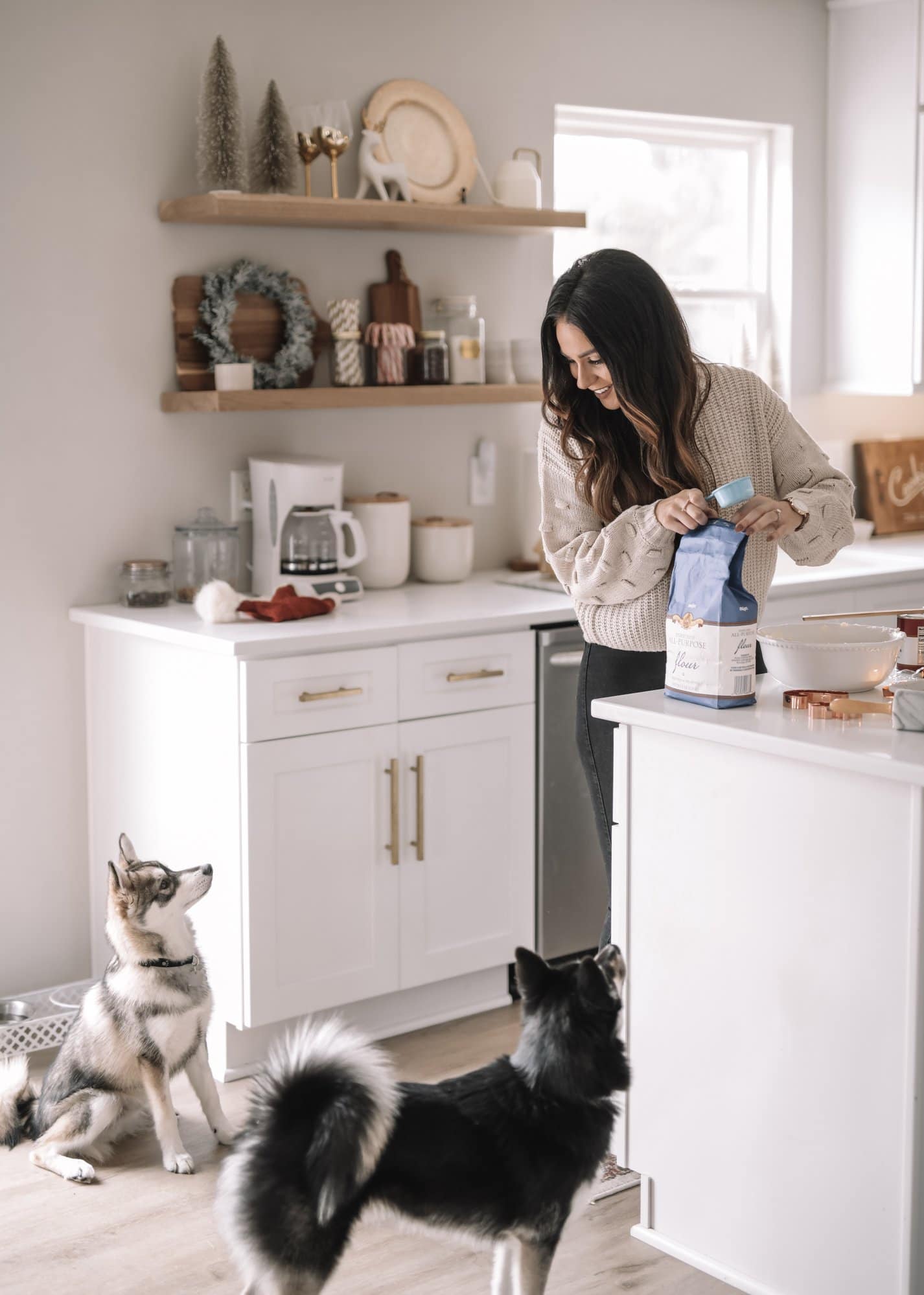 dogs in the kitchen dogs in the kitchen