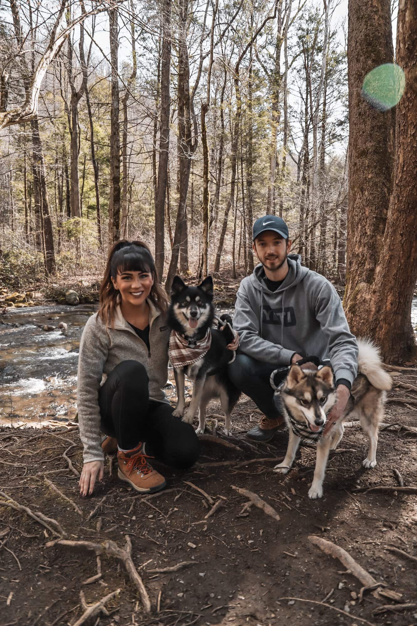 Great Smoky Mountains National Park with dogs