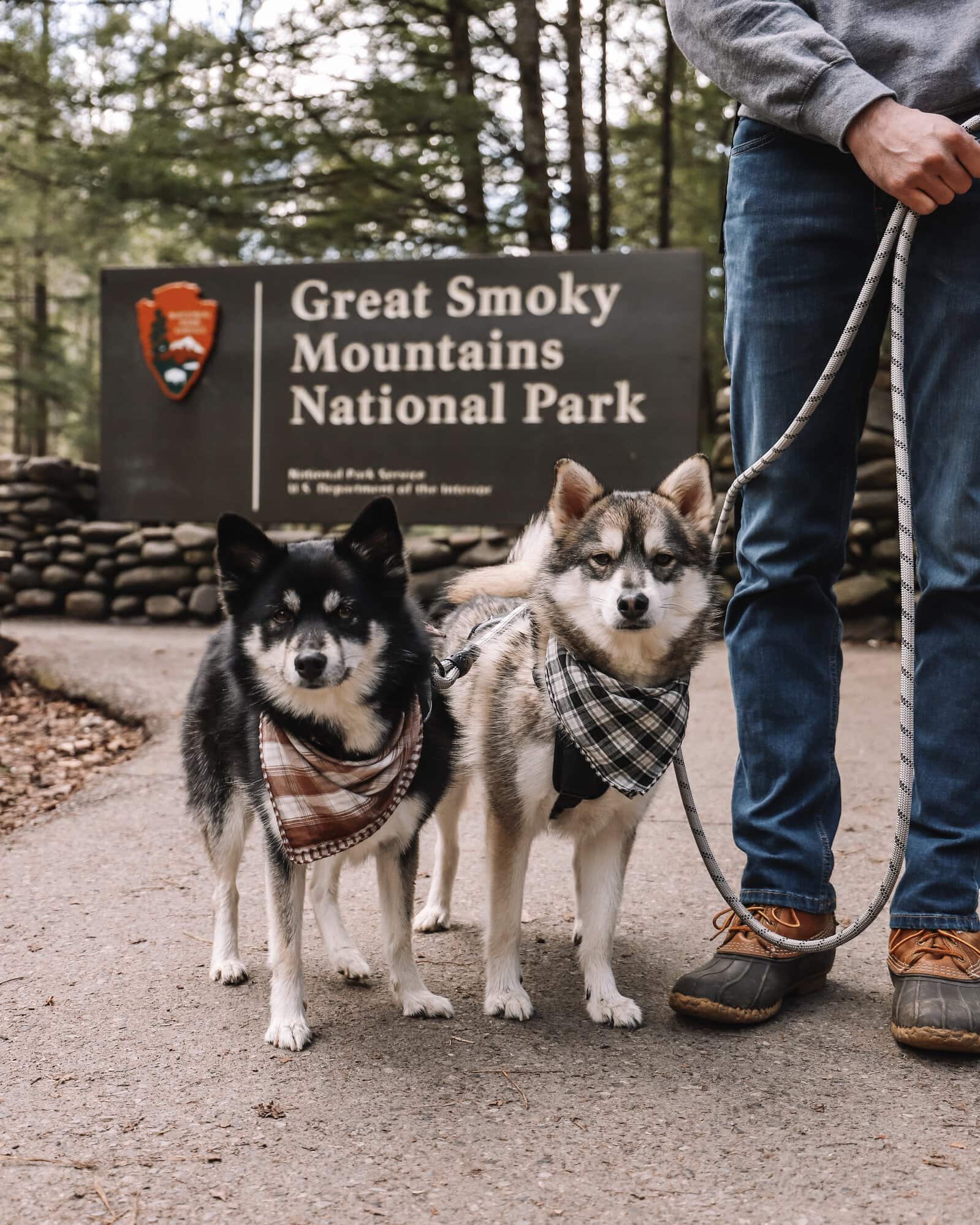 Great Smoky Mountains National Park with dogs