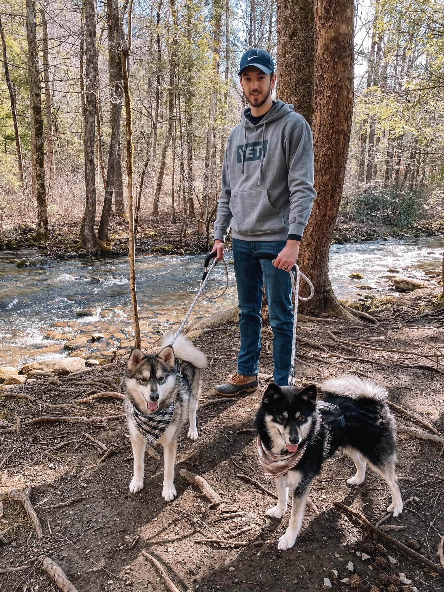 Great Smoky Mountains National Park with dogs