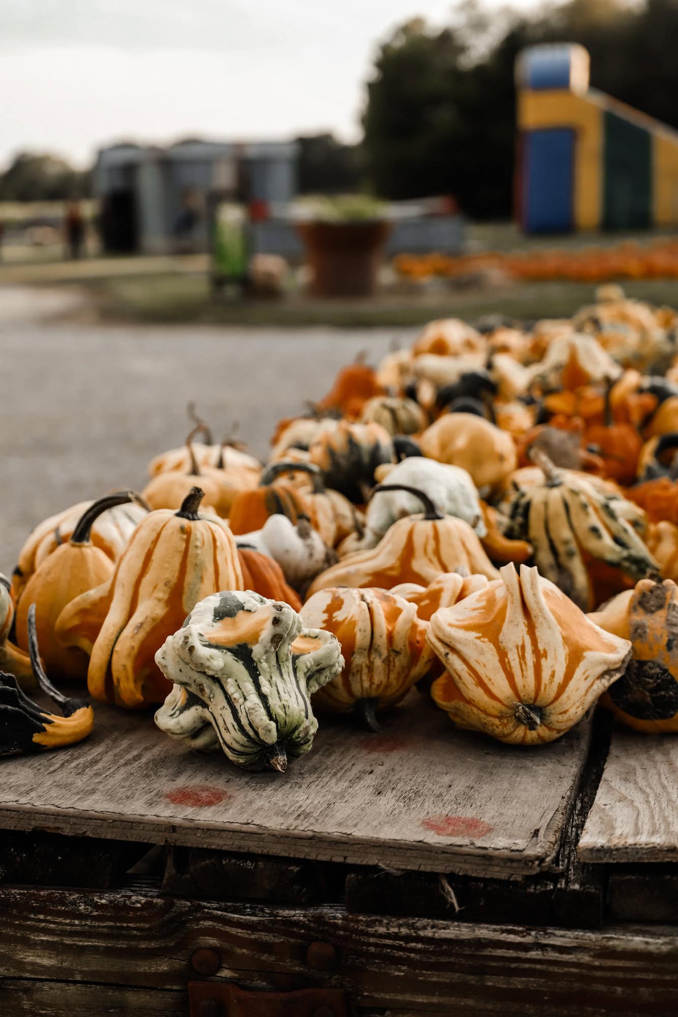 Piney Acres Farm