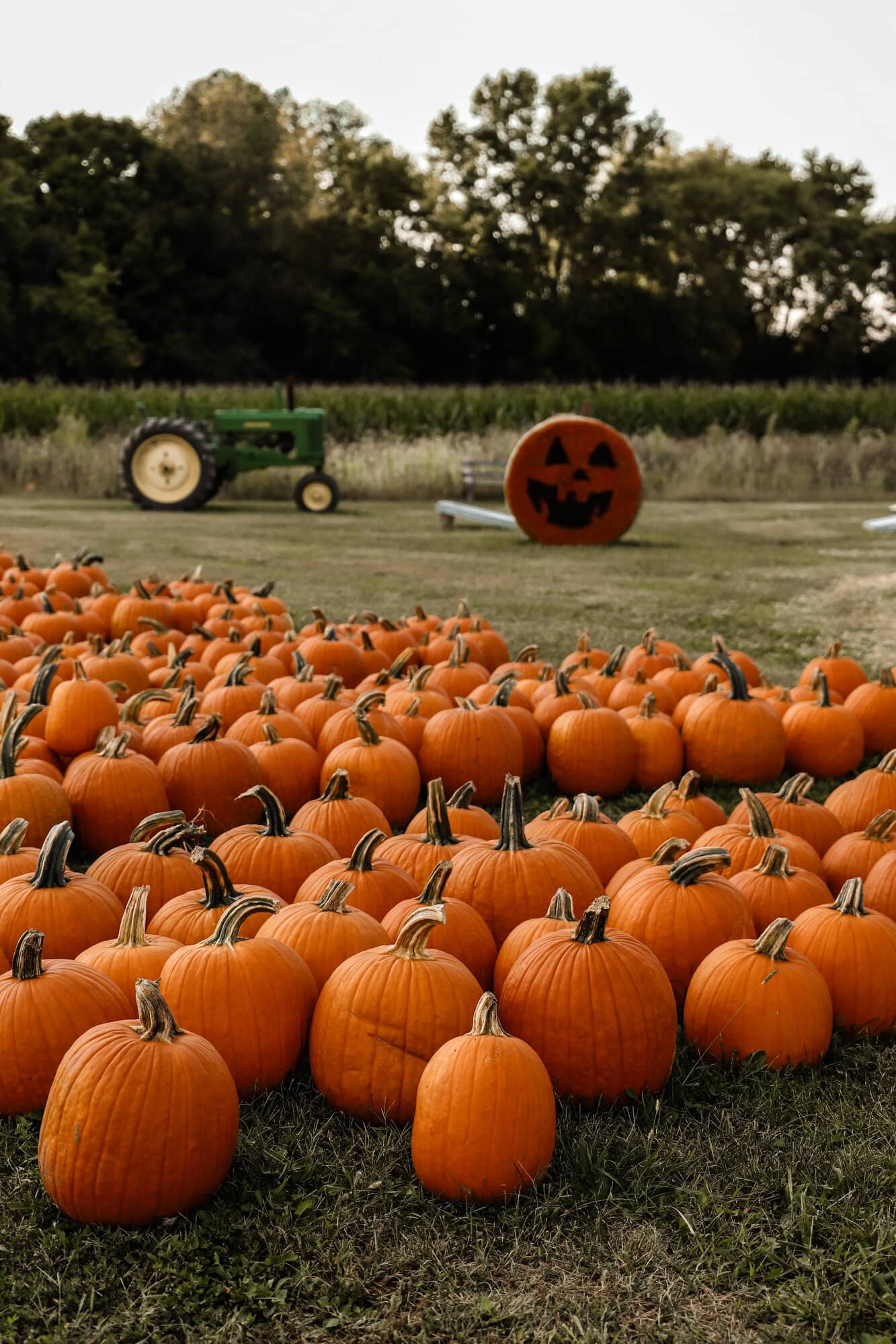 Piney Acres Farm