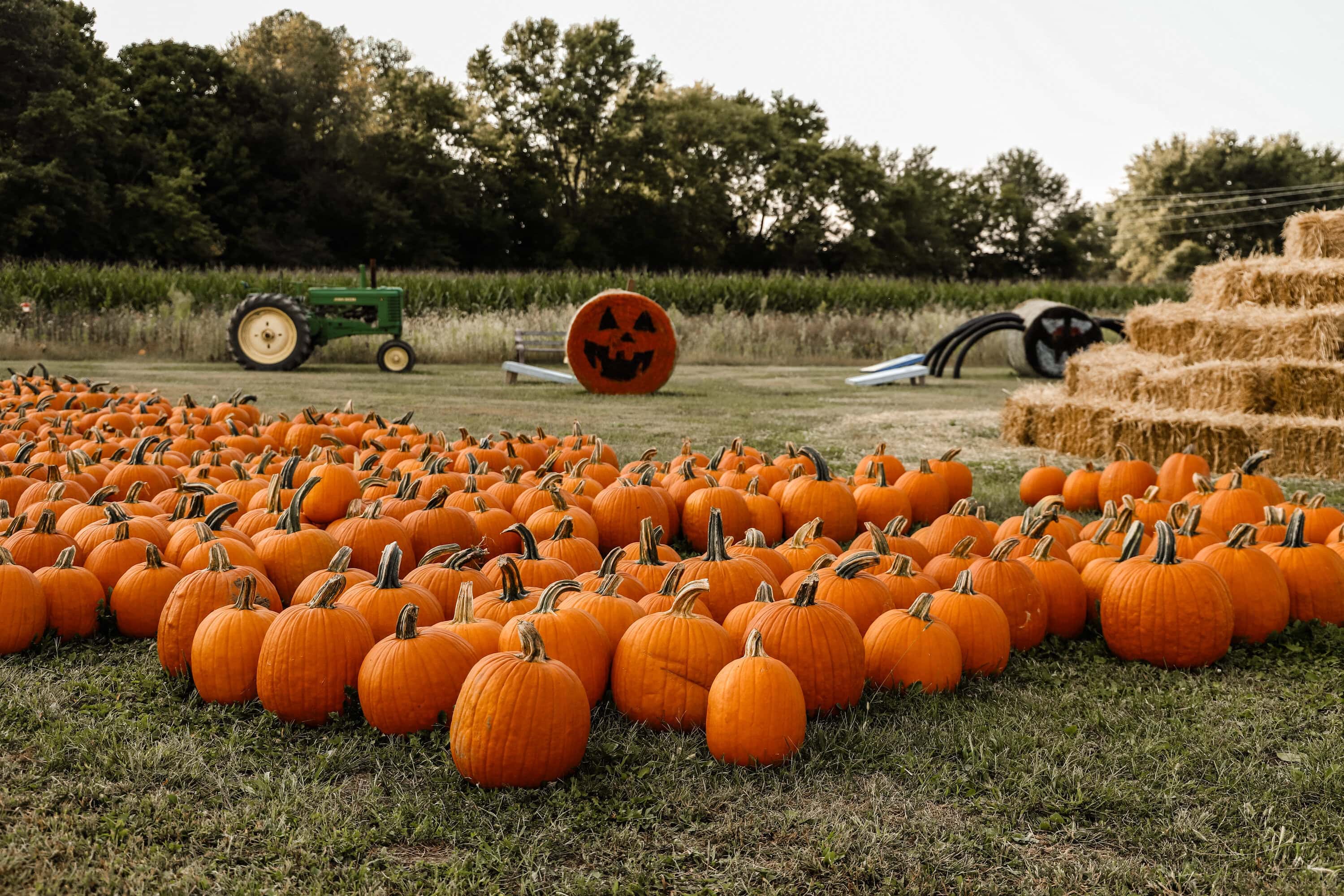 Piney Acres Farm