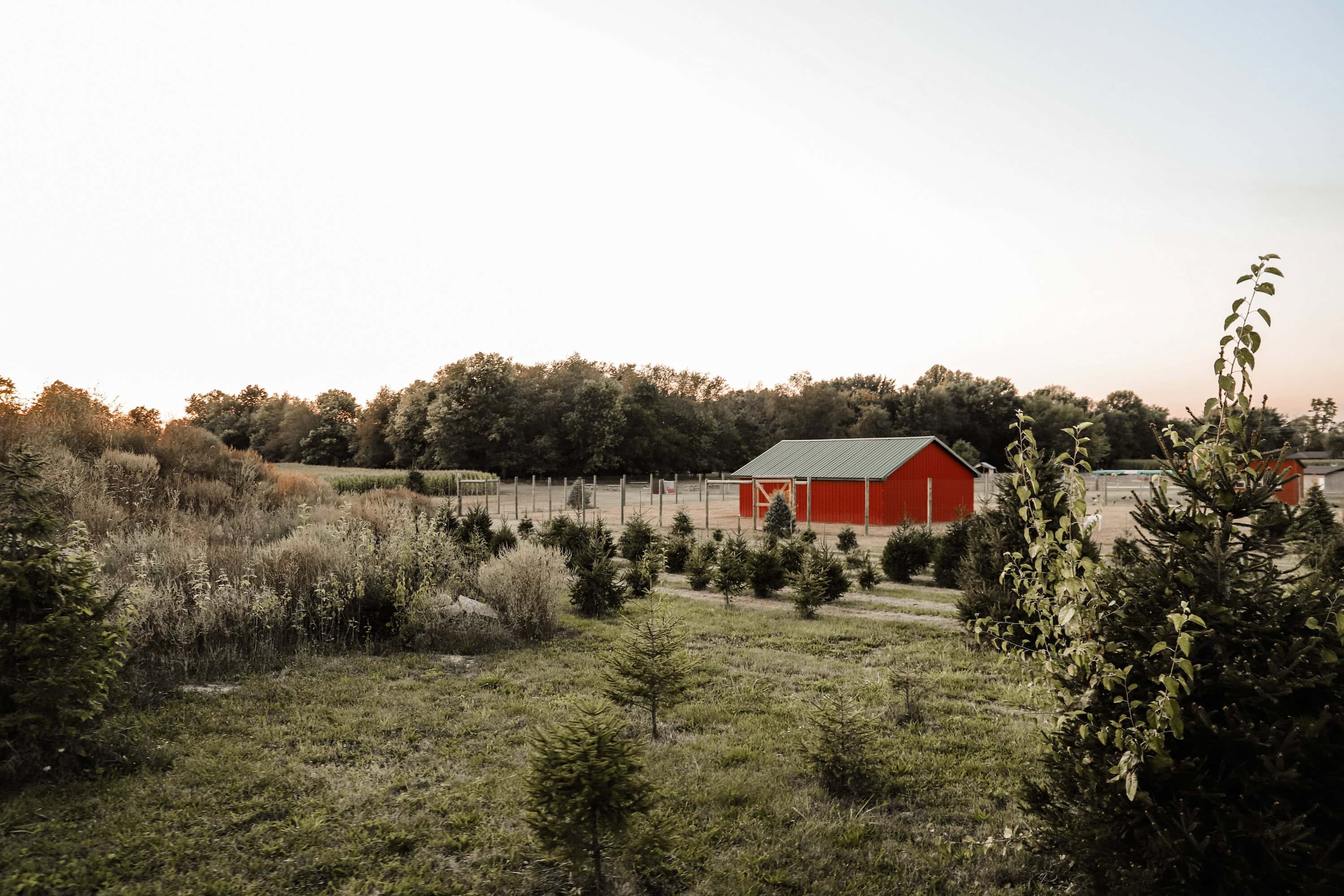 Piney Acres Farm