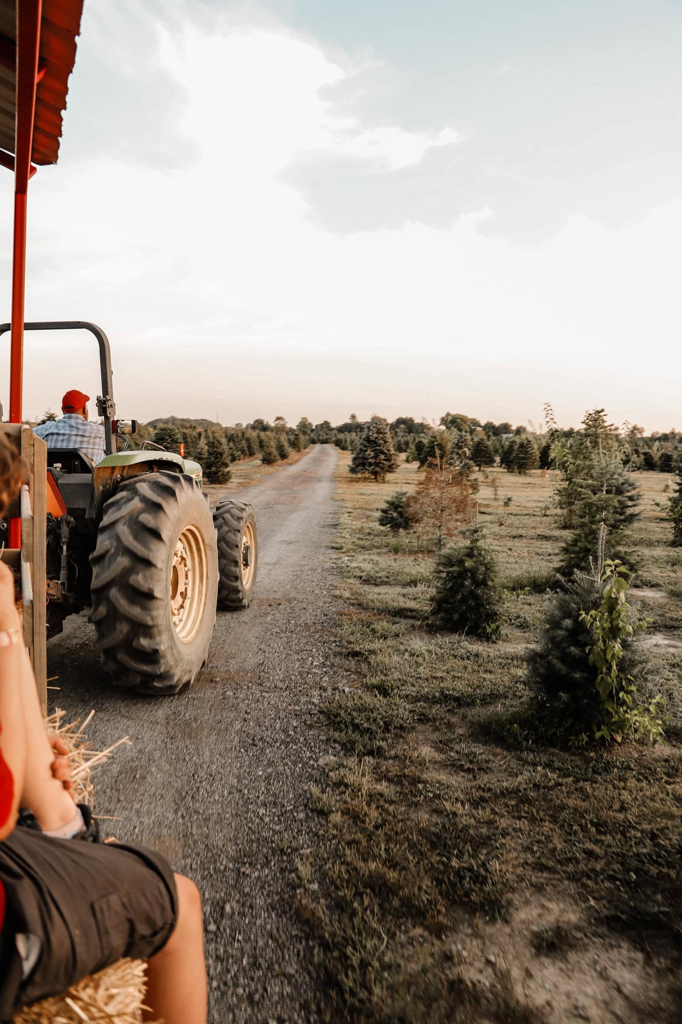 Piney Acres Farm