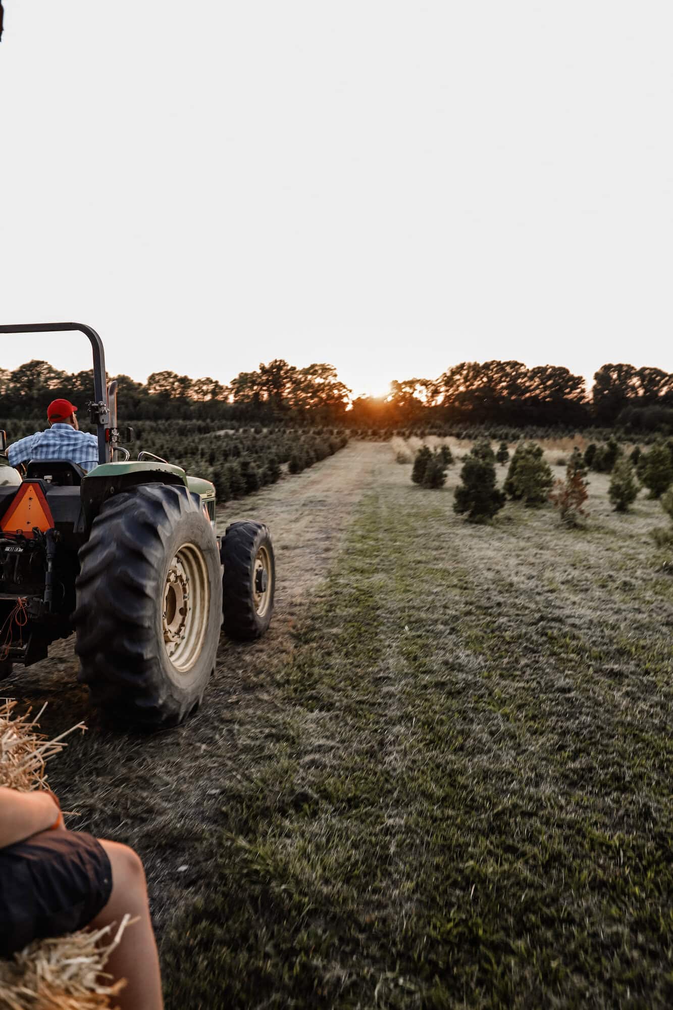 Piney Acres Farm