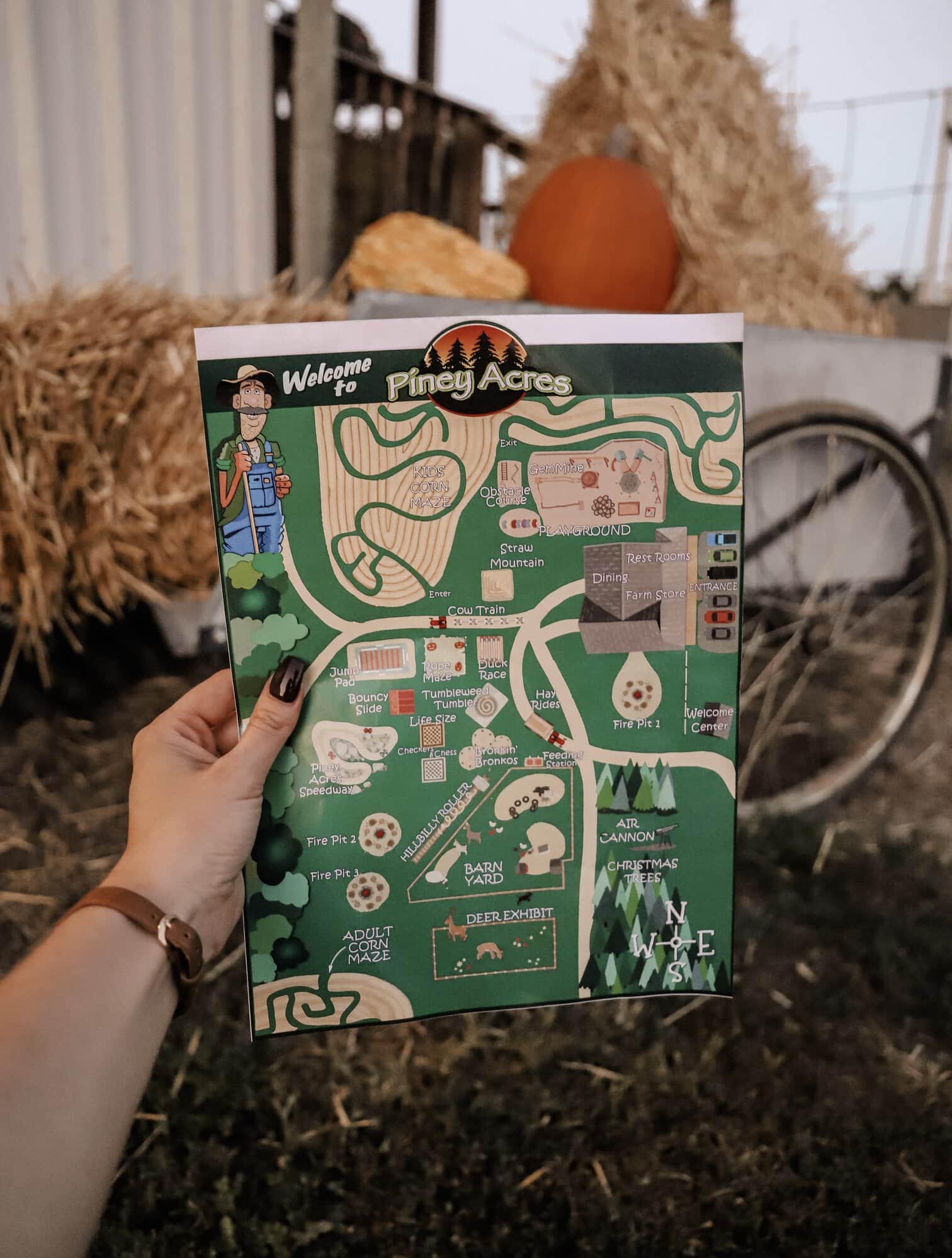 Piney Acres Farm | Indianapolis Apple Orchard & Pumpkin Patch Guide