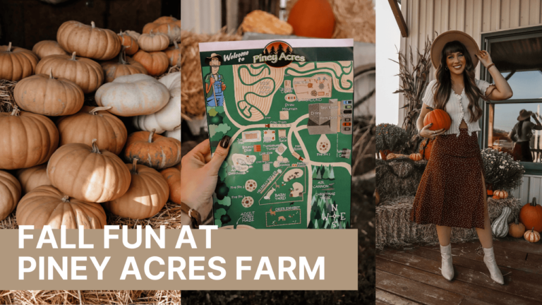 Fall Fun at Piney Acres Farm