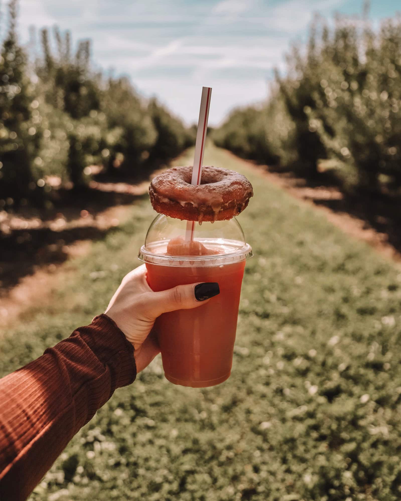 Beasley's Orchard | Indianapolis Apple Orchard & Pumpkin Patch Guide