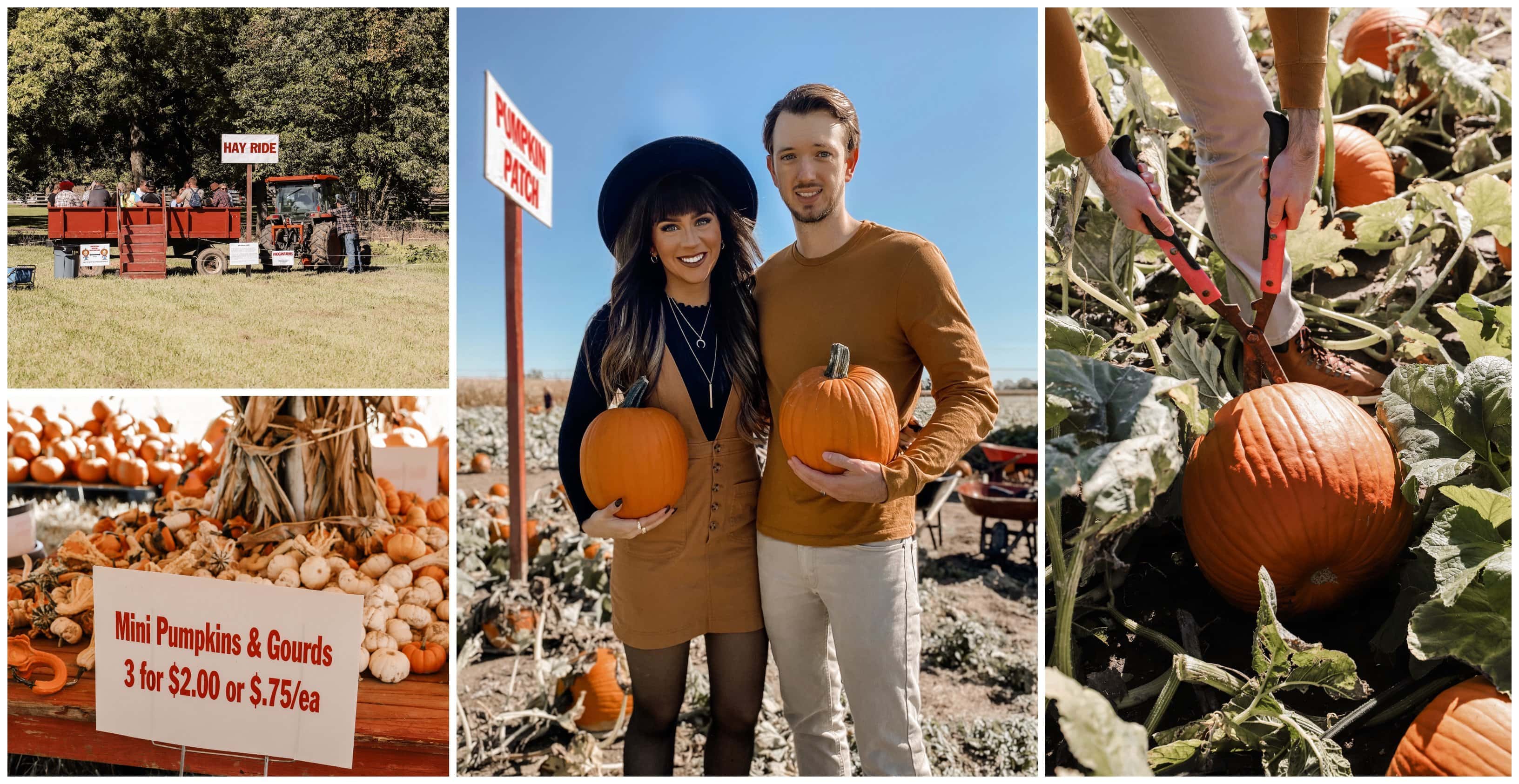 Hogan Farms Pumpkin Patch & Corn Maze