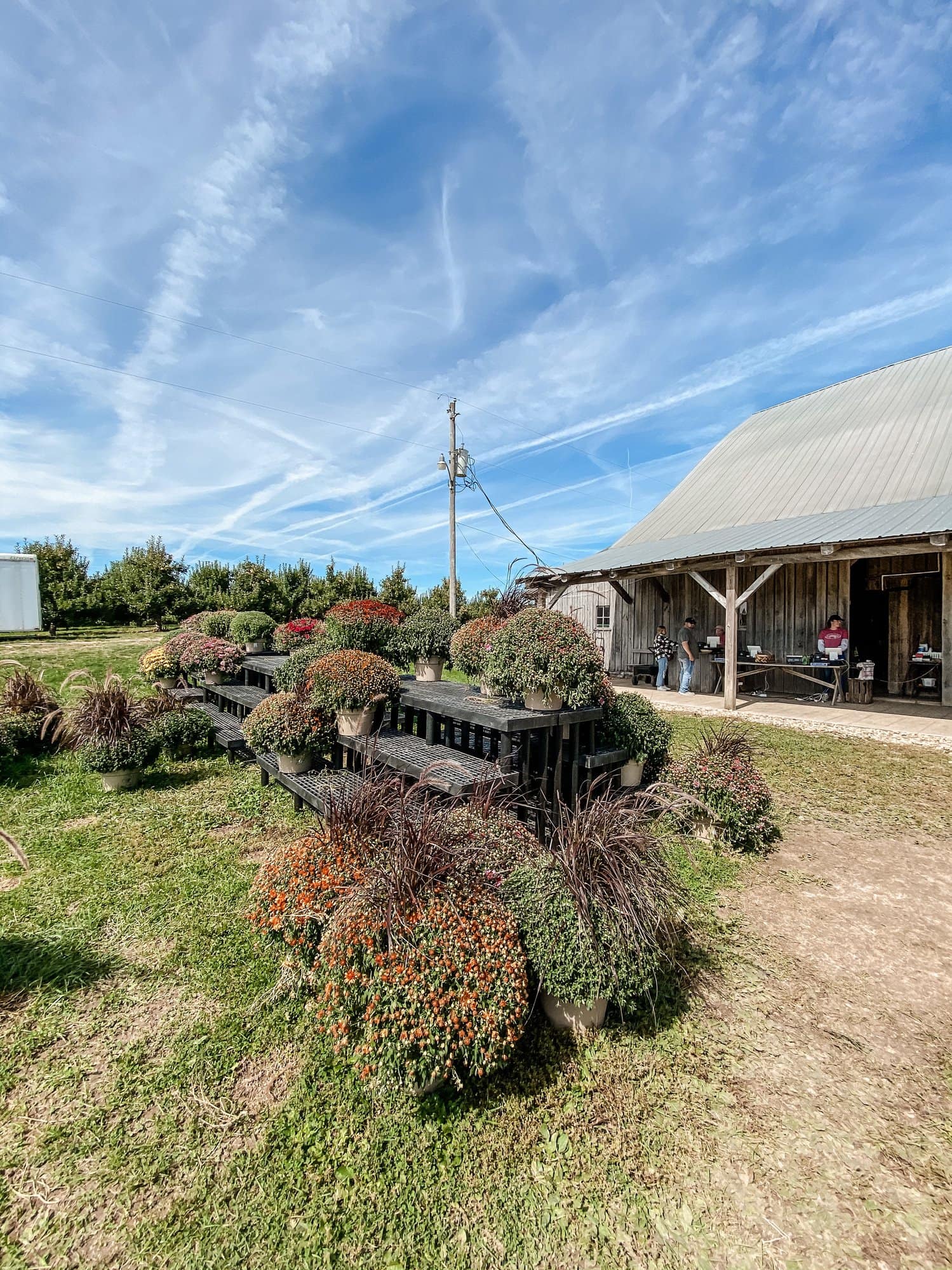 Beasley's Orchard | Indianapolis Apple Orchard & Pumpkin Patch Guide