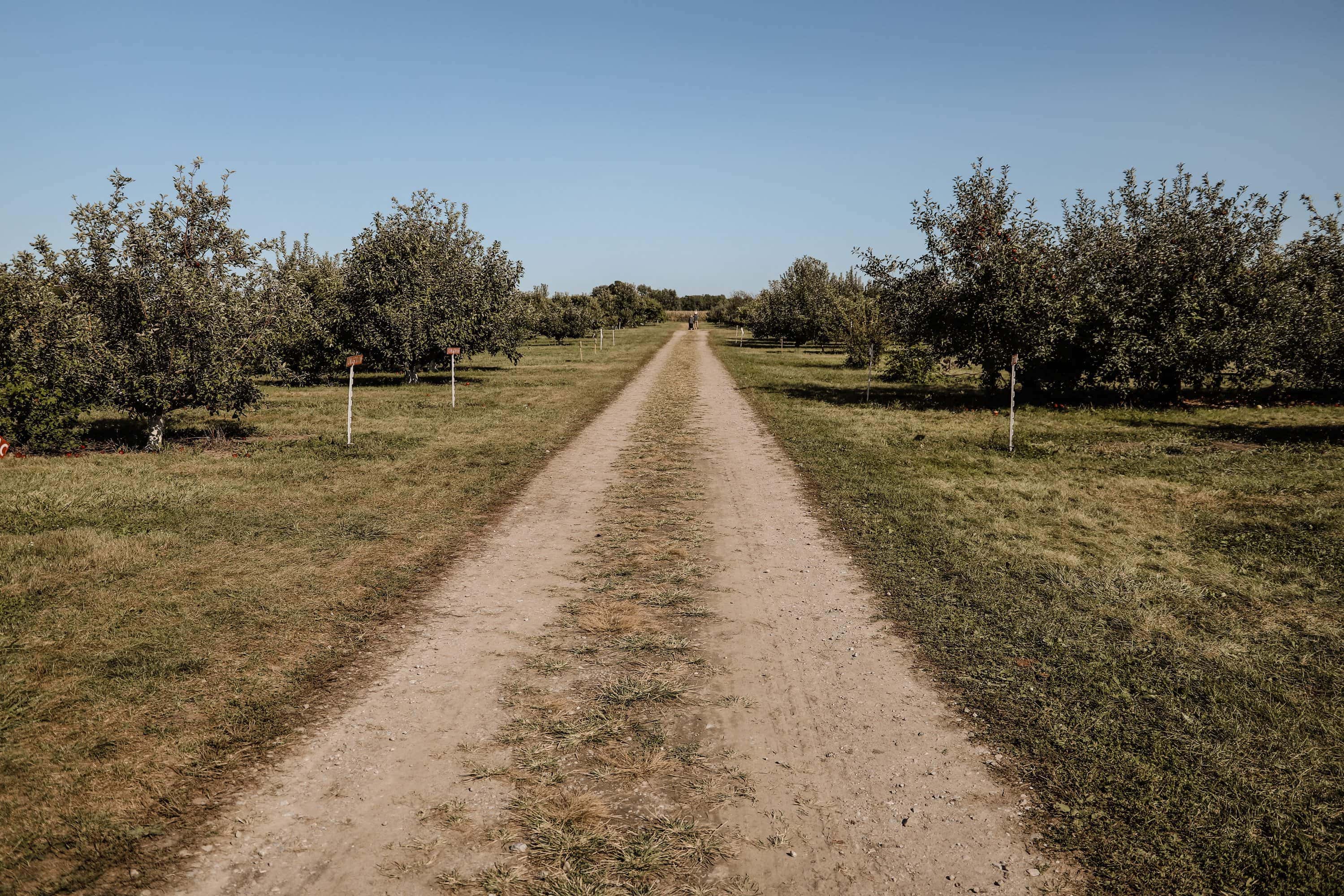 Stuckey Farm | Indianapolis Apple Orchard & Pumpkin Patch Guide