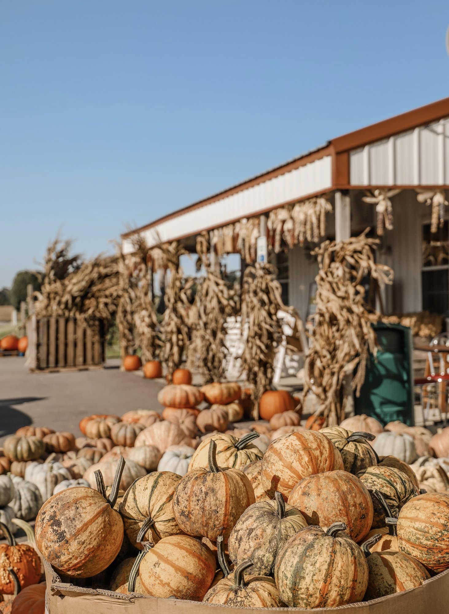 Spencer Farm | Indianapolis Apple Orchard & Pumpkin Patch Guide