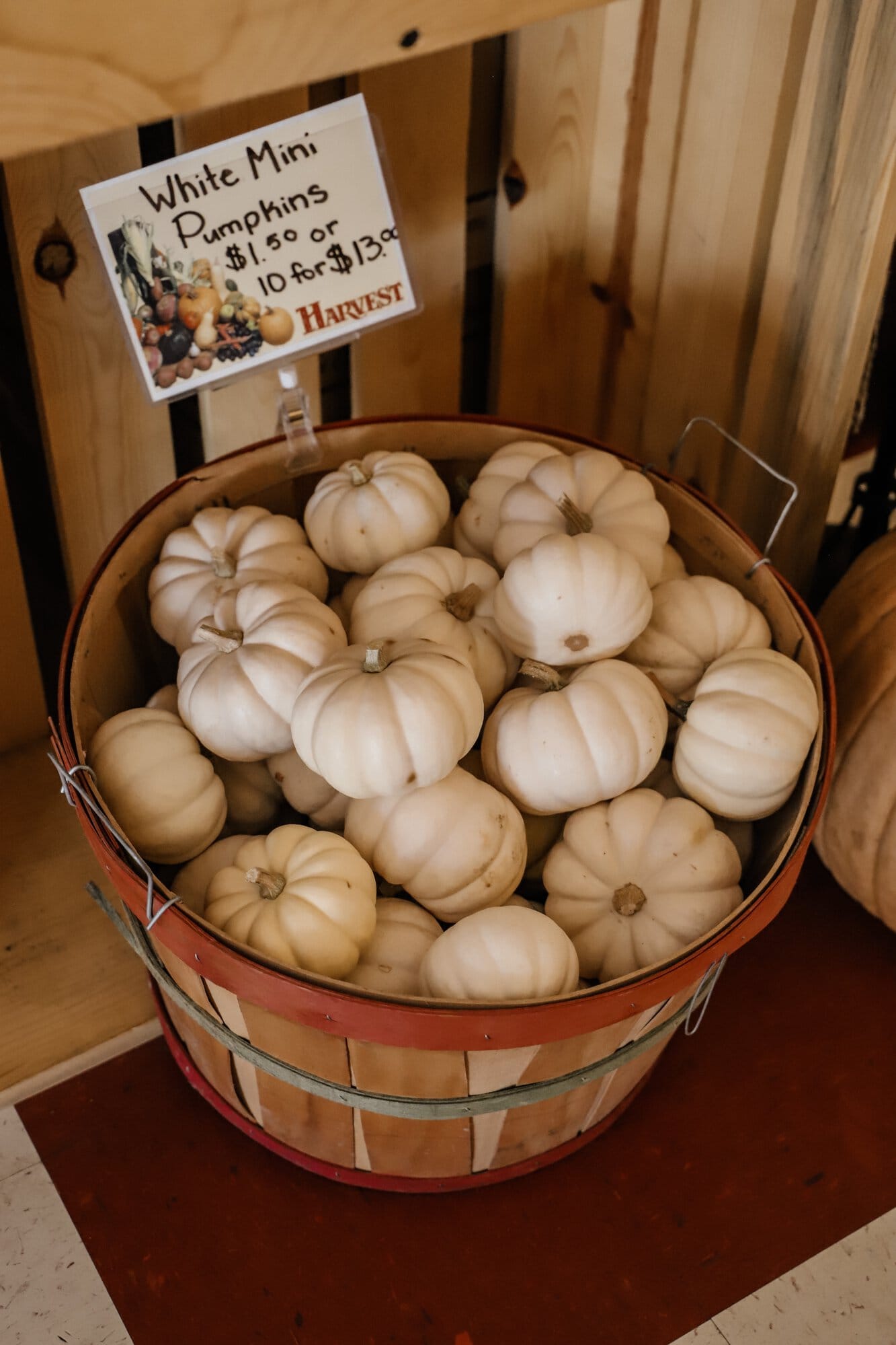 Spencer Farm | Indianapolis Apple Orchard & Pumpkin Patch Guide