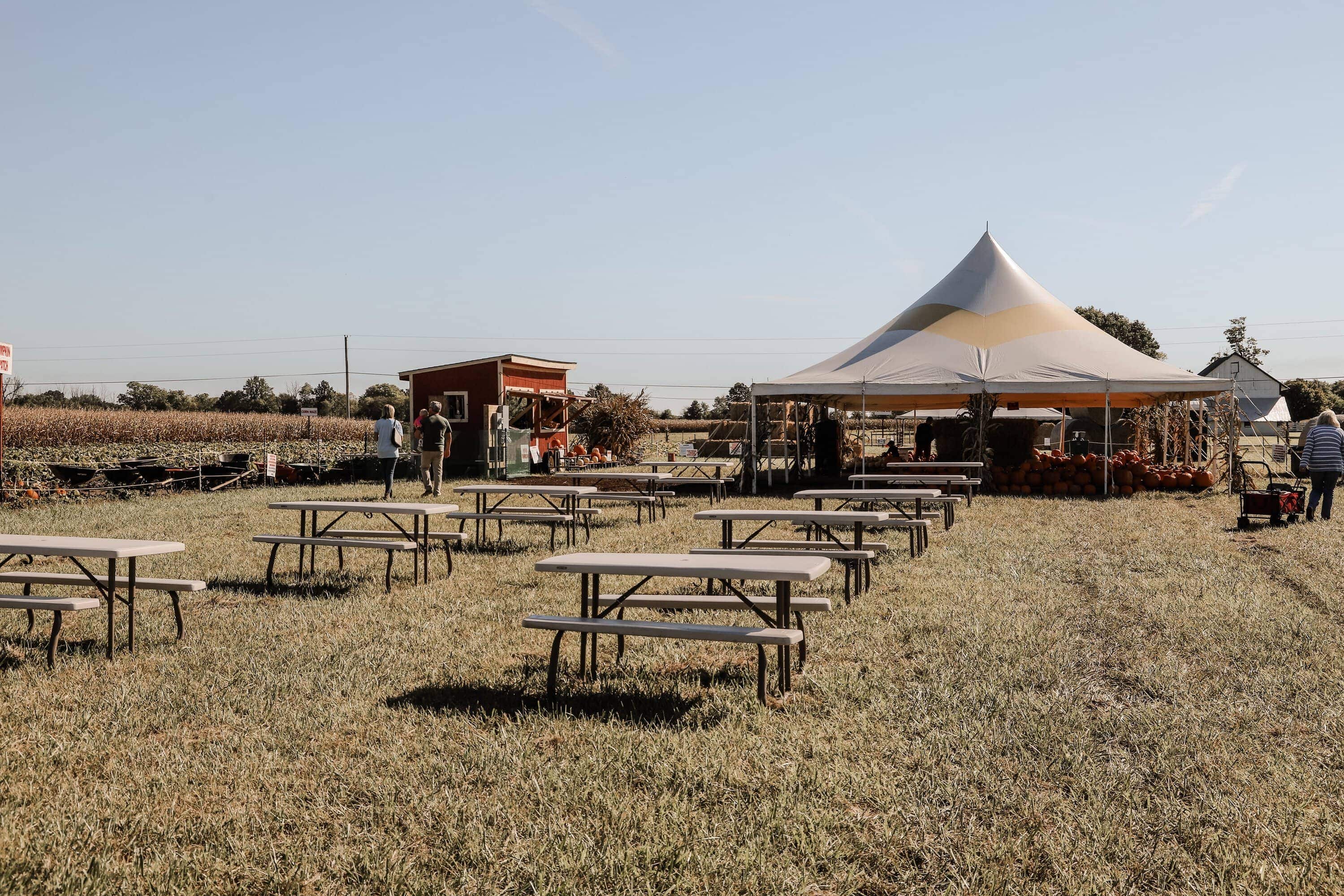 Hogan Farms Pumpkin Patch & Corn Maze