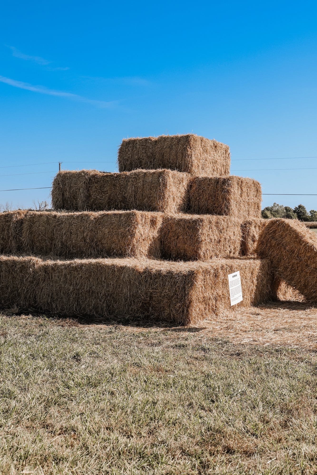 Hogan Farms Pumpkin Patch & Corn Maze