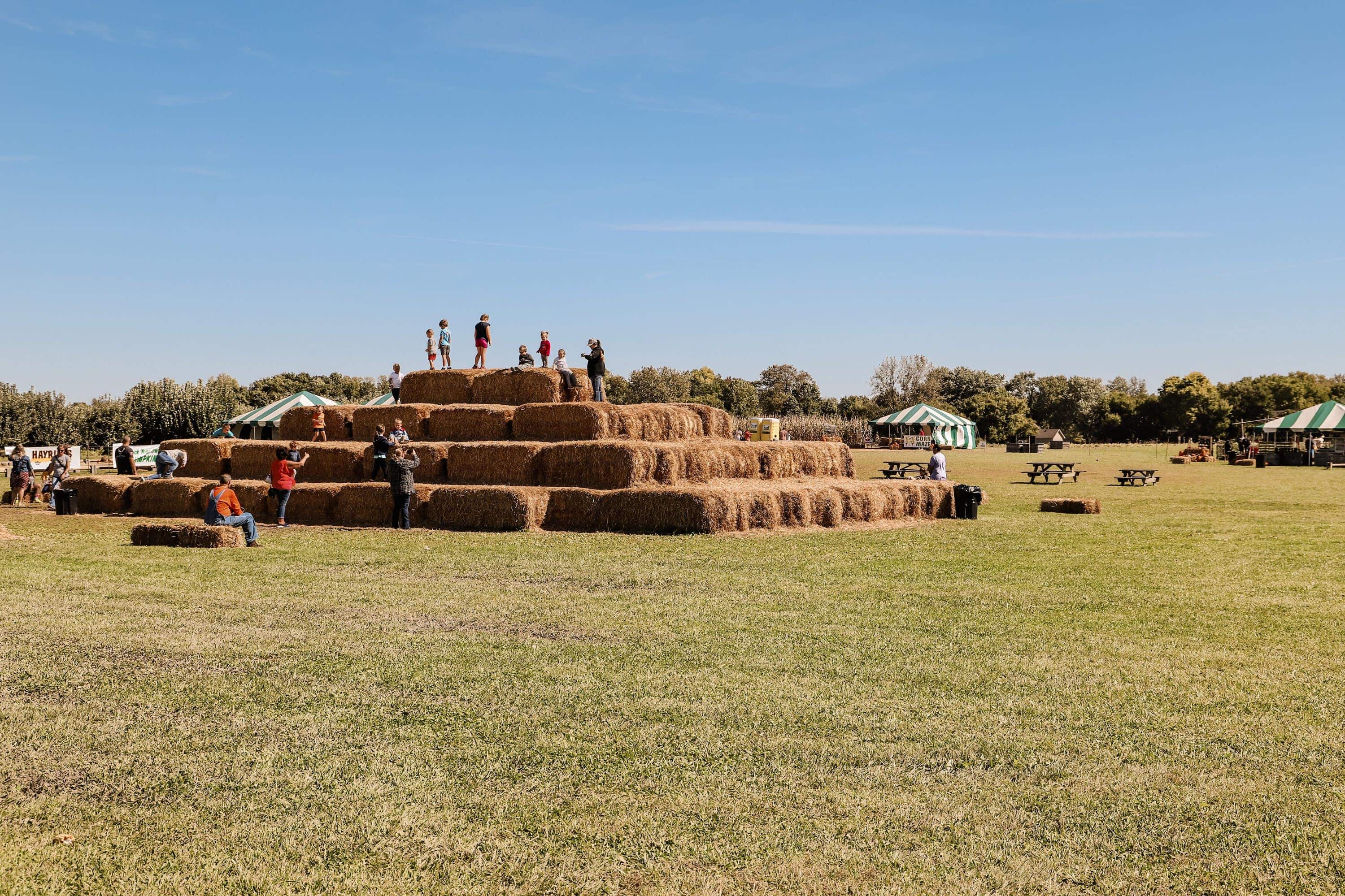 Beasley's Orchard | Indianapolis Apple Orchard & Pumpkin Patch Guide