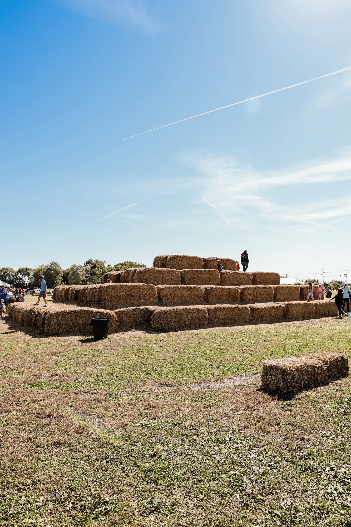 Beasley's Orchard | Indianapolis Apple Orchard & Pumpkin Patch Guide