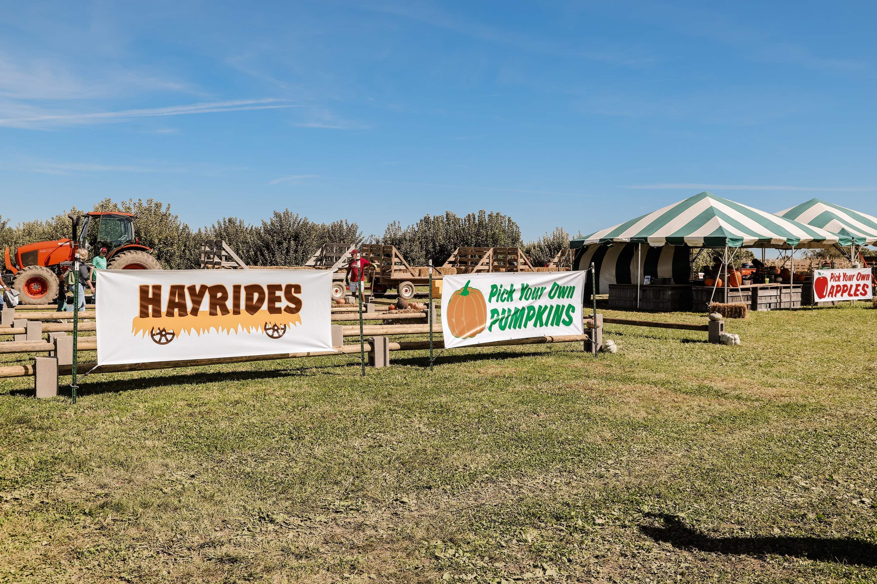 Beasley's Orchard | Indianapolis Apple Orchard & Pumpkin Patch Guide