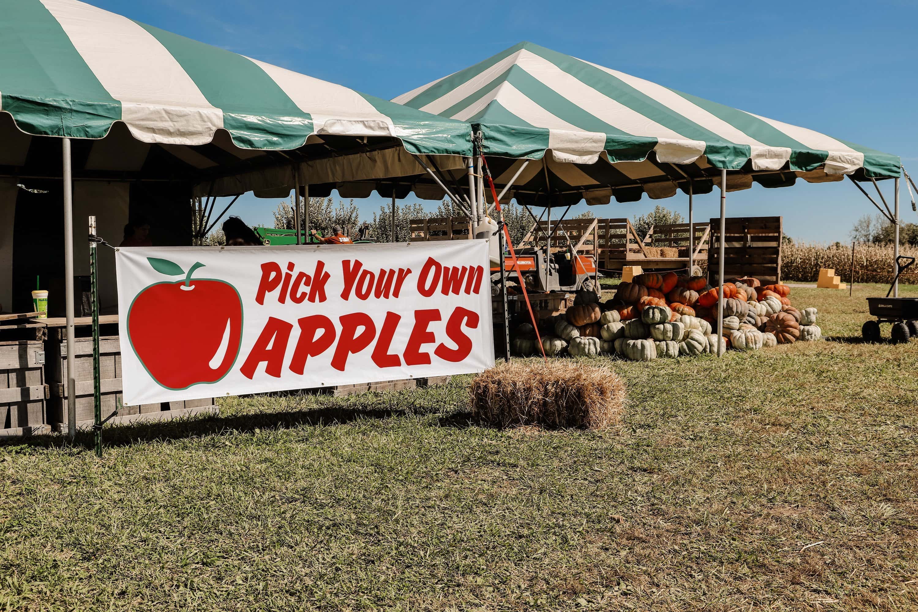 Beasley's Orchard | Indianapolis Apple Orchard & Pumpkin Patch Guide