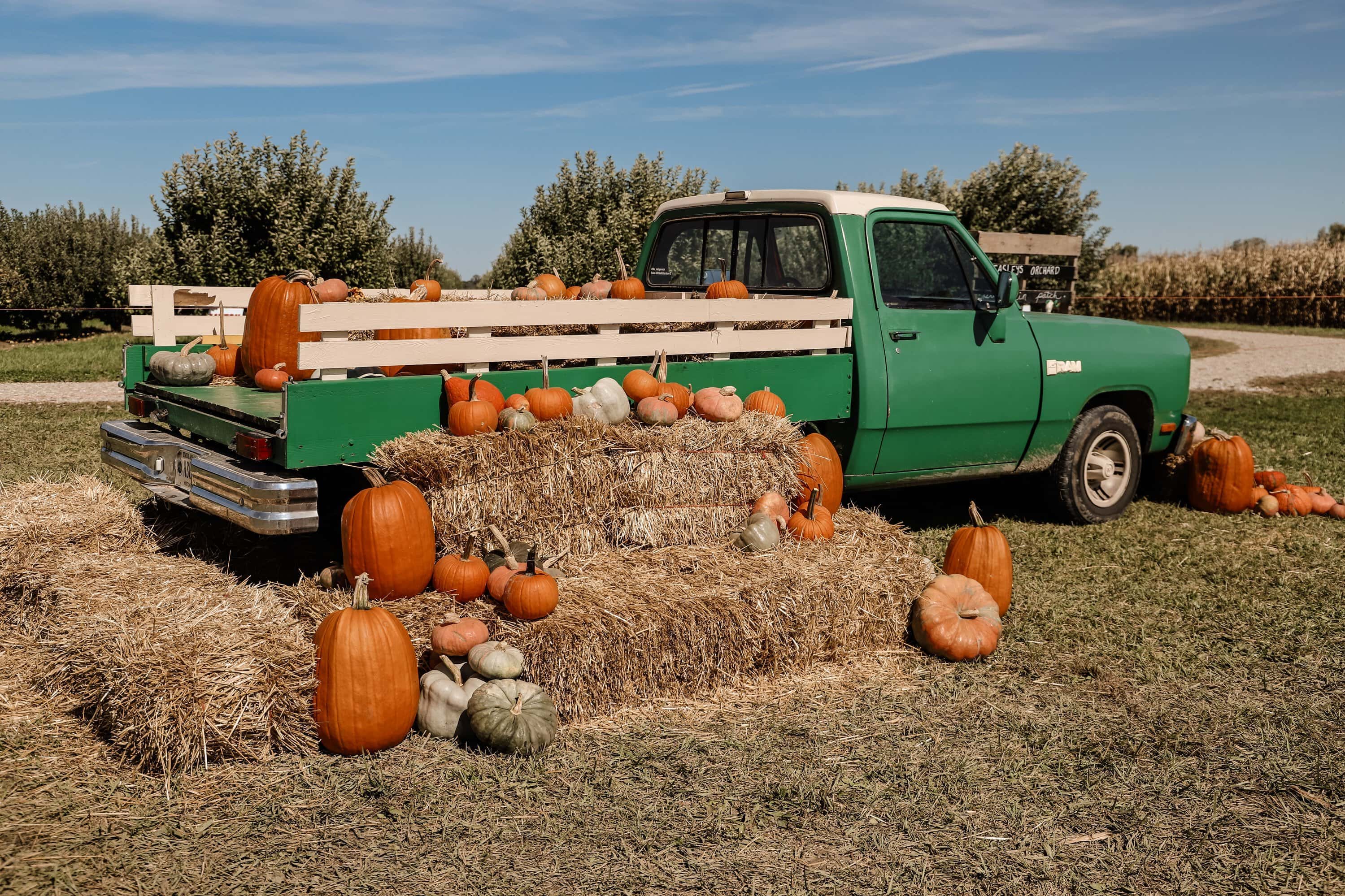 Beasley's Orchard | Indianapolis Apple Orchard & Pumpkin Patch Guide