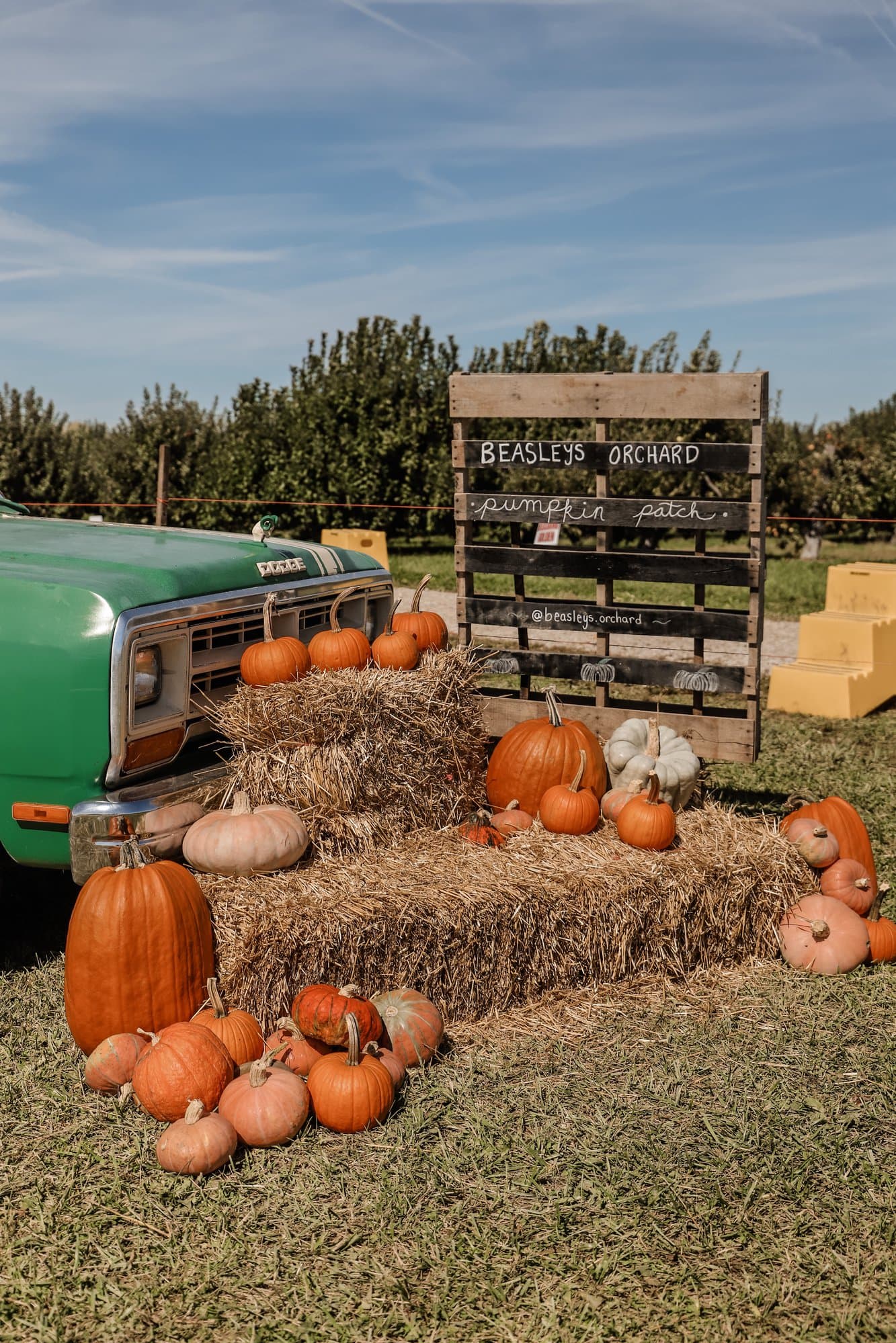 Beasley's Orchard | Indianapolis Apple Orchard & Pumpkin Patch Guide