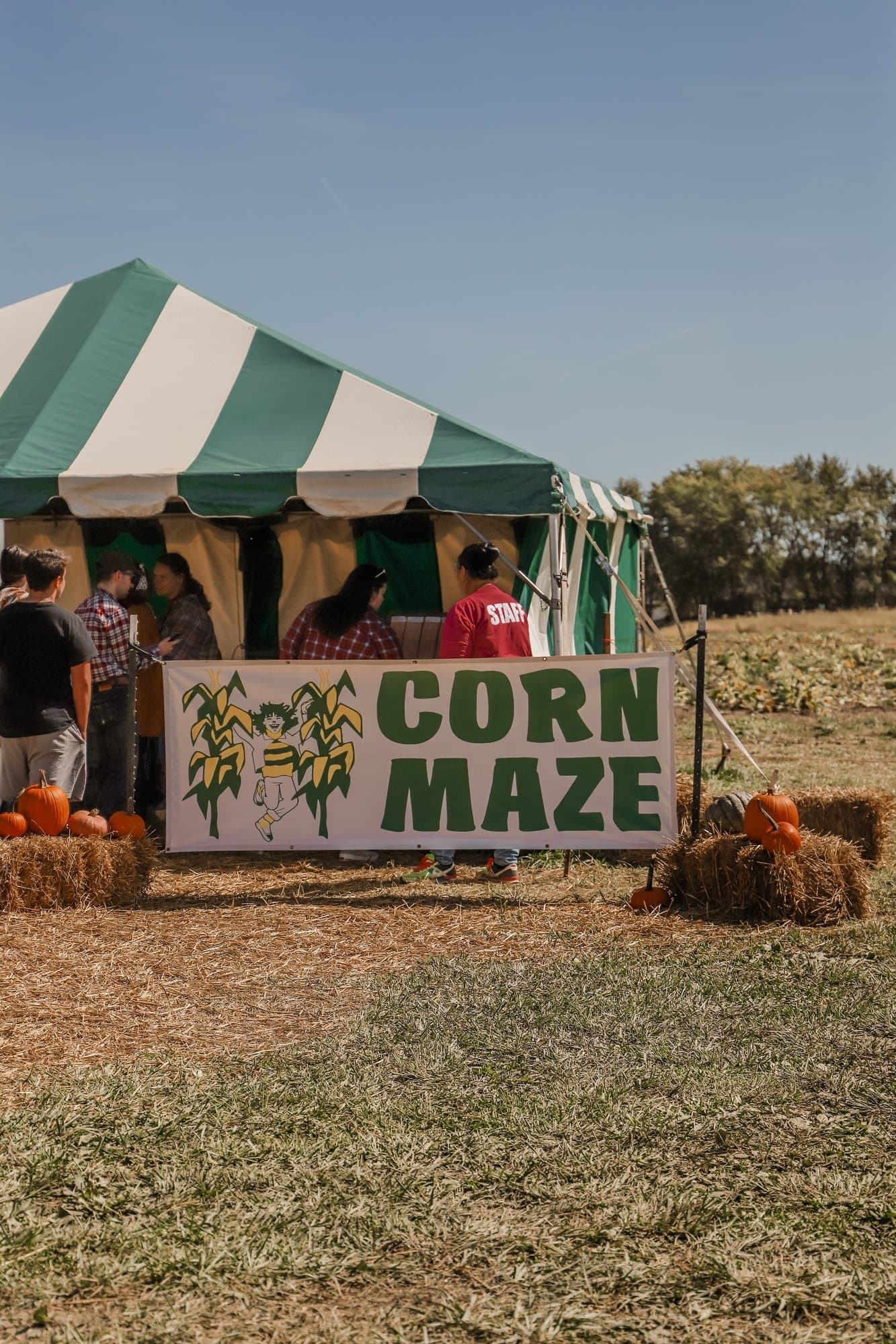 Beasley's Orchard | Indianapolis Apple Orchard & Pumpkin Patch Guide