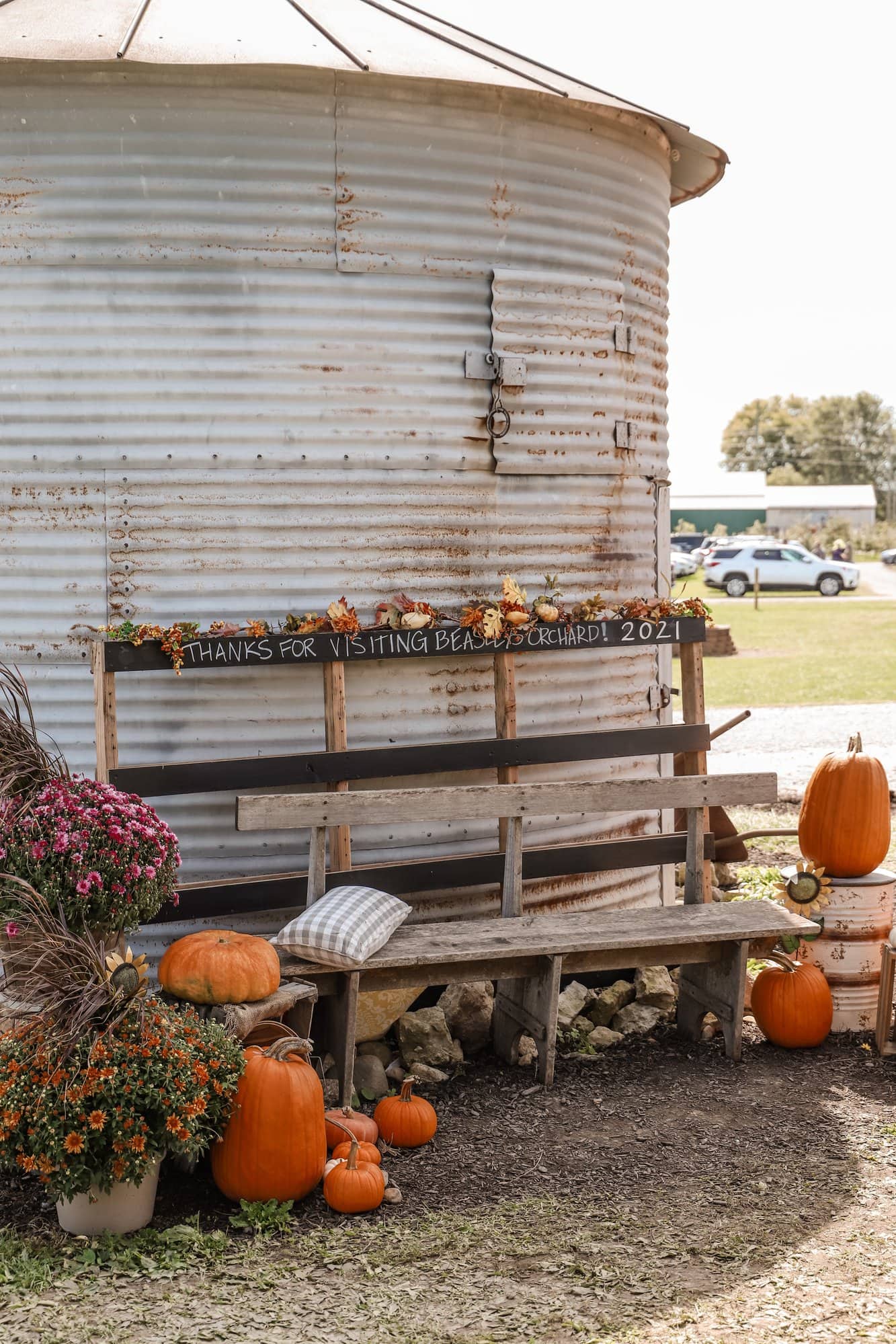 Beasley's Orchard | Indianapolis Apple Orchard & Pumpkin Patch Guide