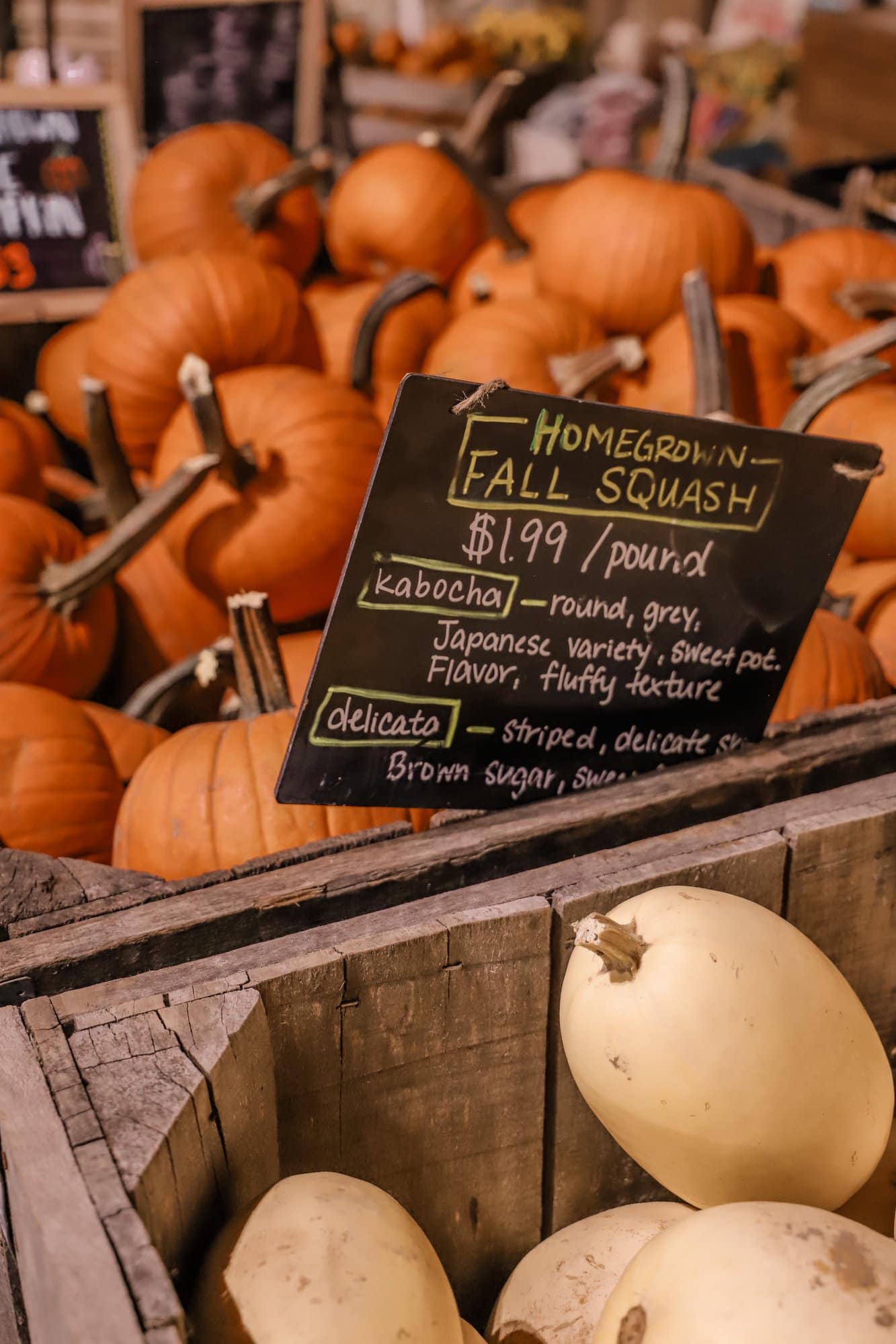 Beasley's Orchard | Indianapolis Apple Orchard & Pumpkin Patch Guide