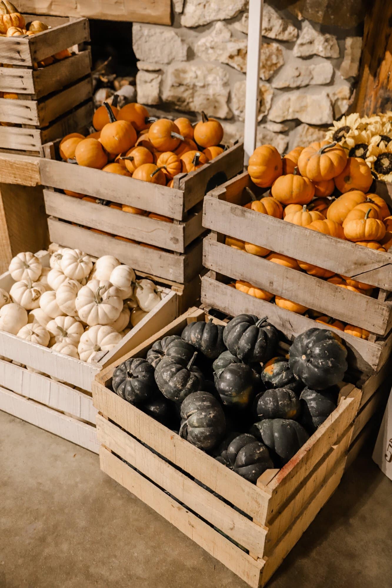 Beasley's Orchard | Indianapolis Apple Orchard & Pumpkin Patch Guide