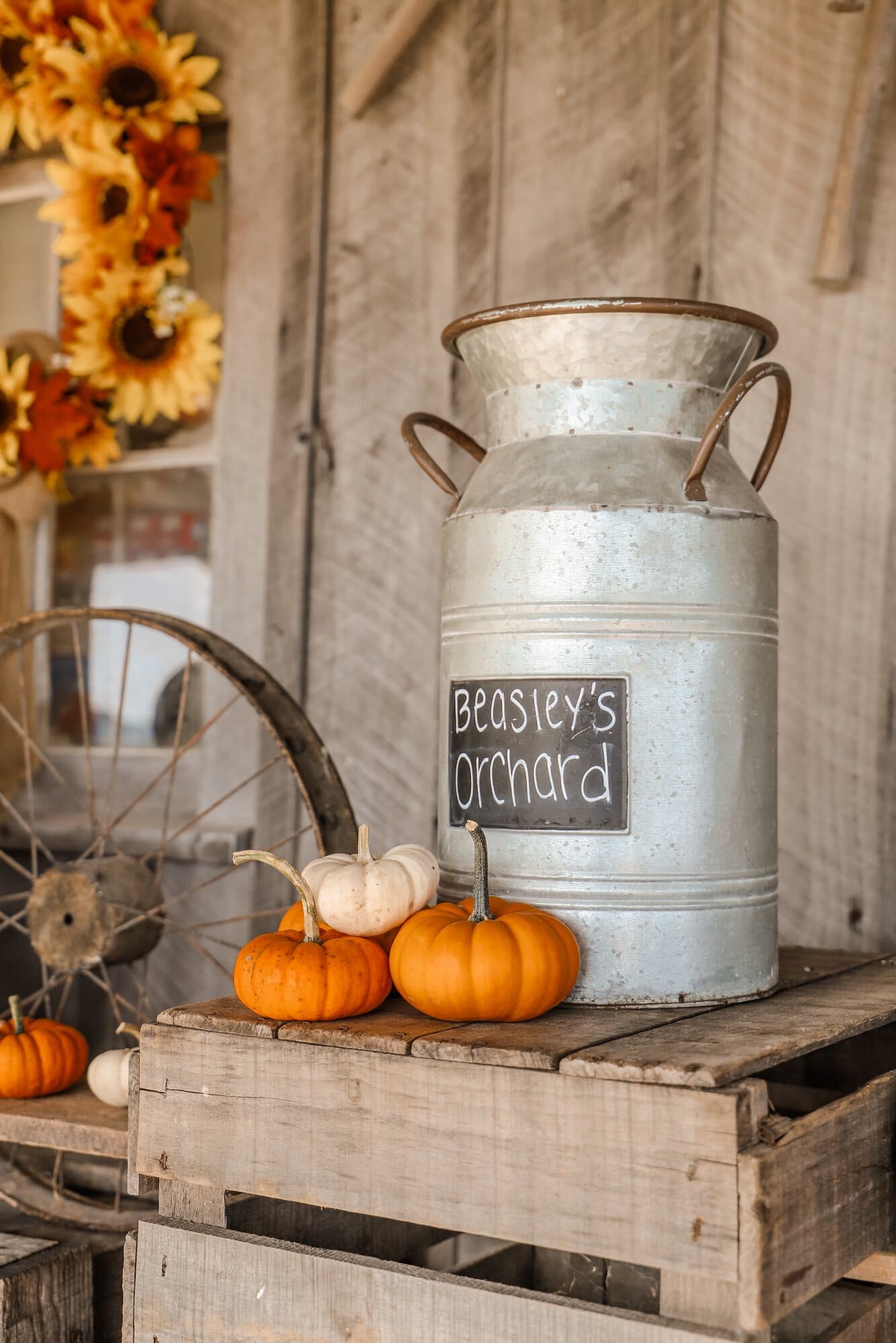 Beasley's Orchard | Indianapolis Apple Orchard & Pumpkin Patch Guide