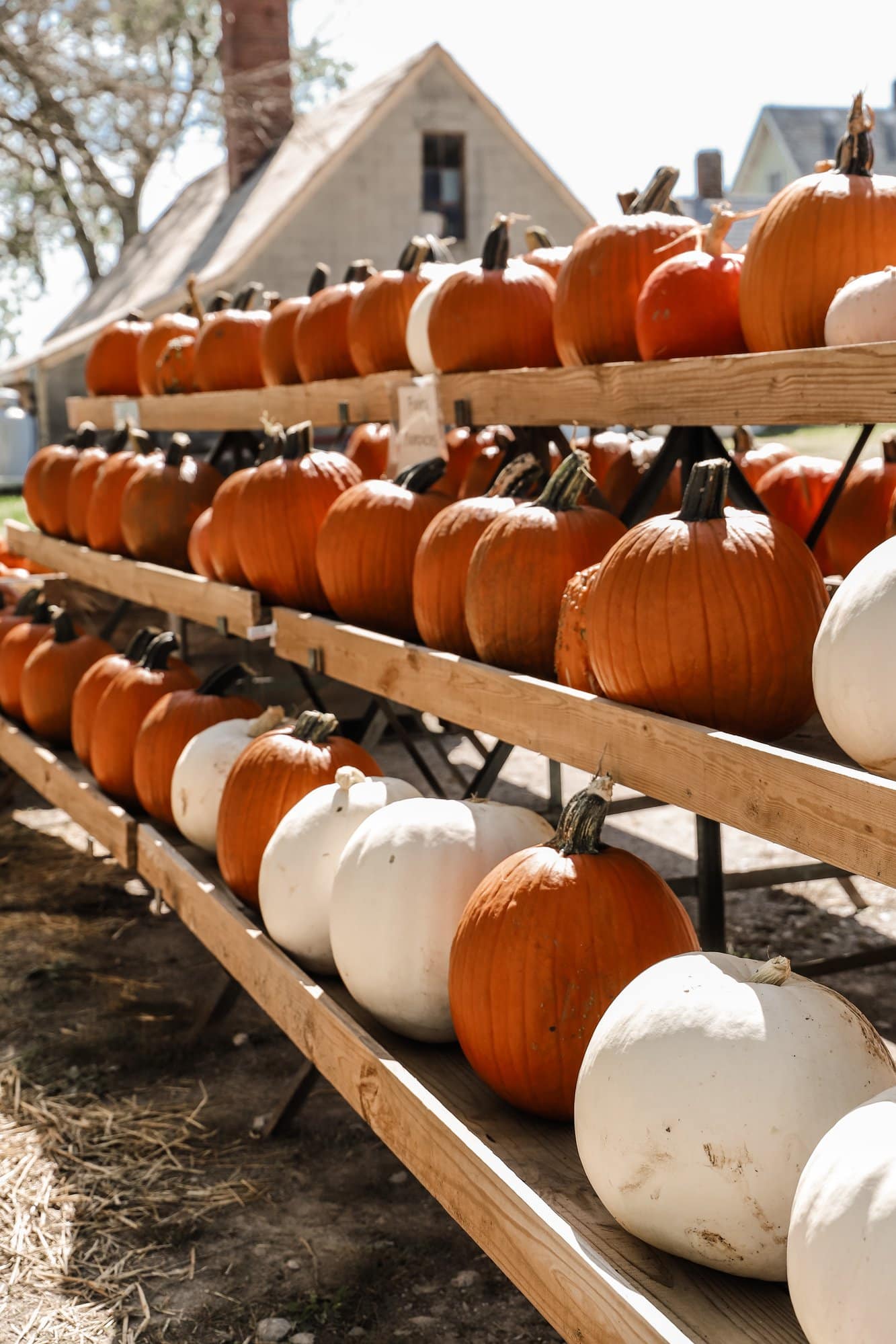 Waterman's Family Farm