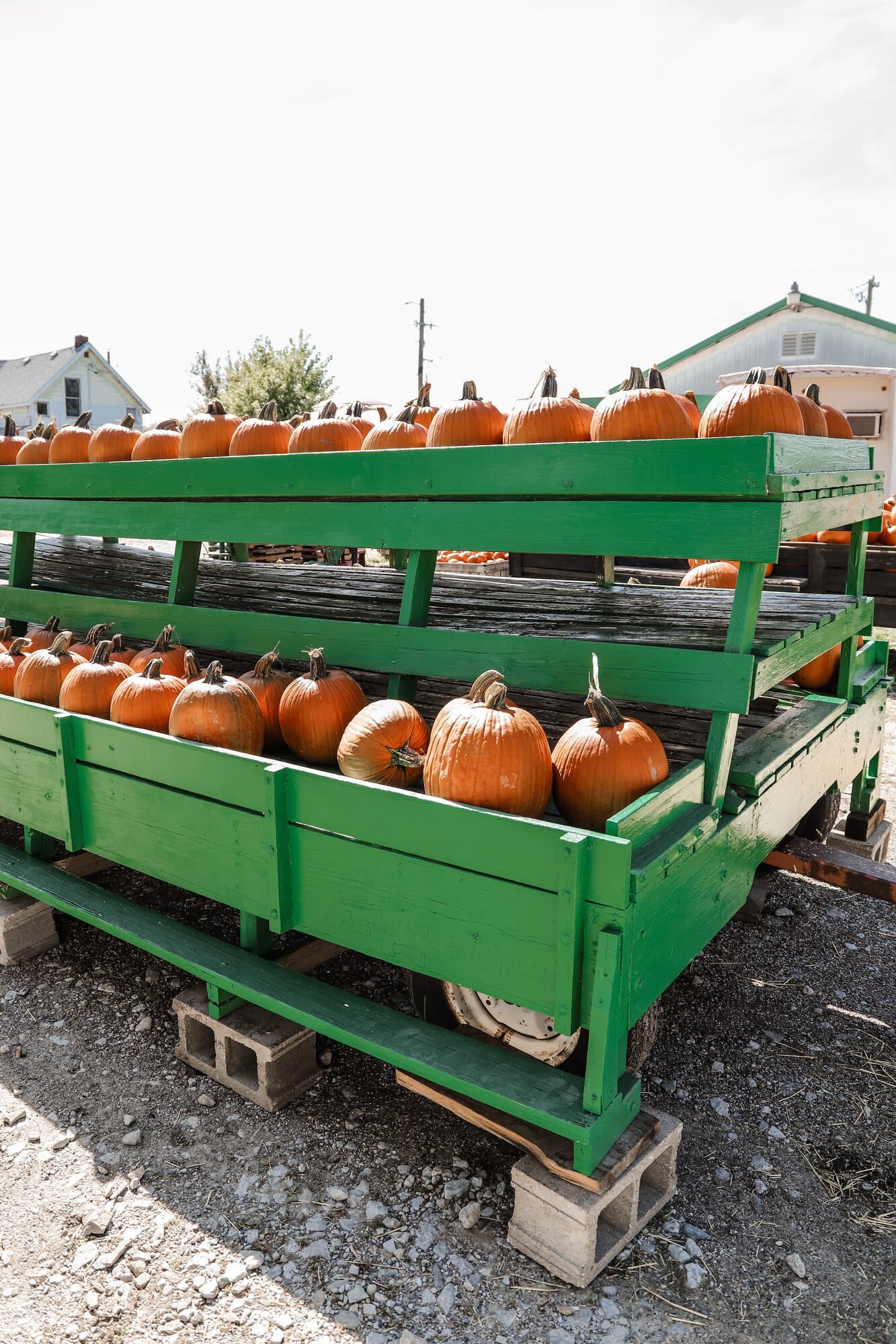 Waterman's Family Farm