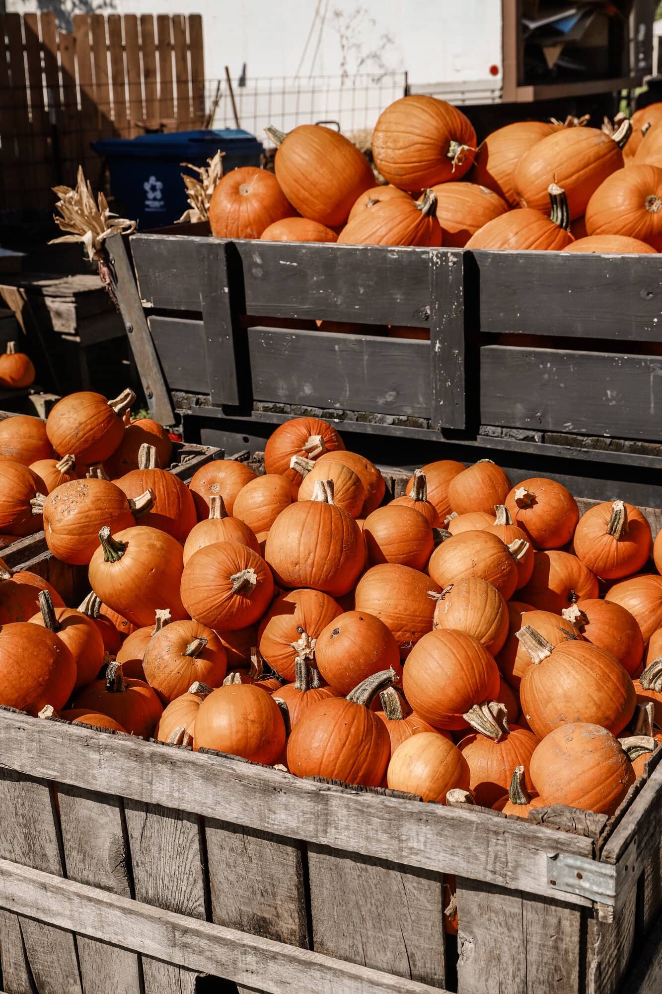 Waterman's Family Farm