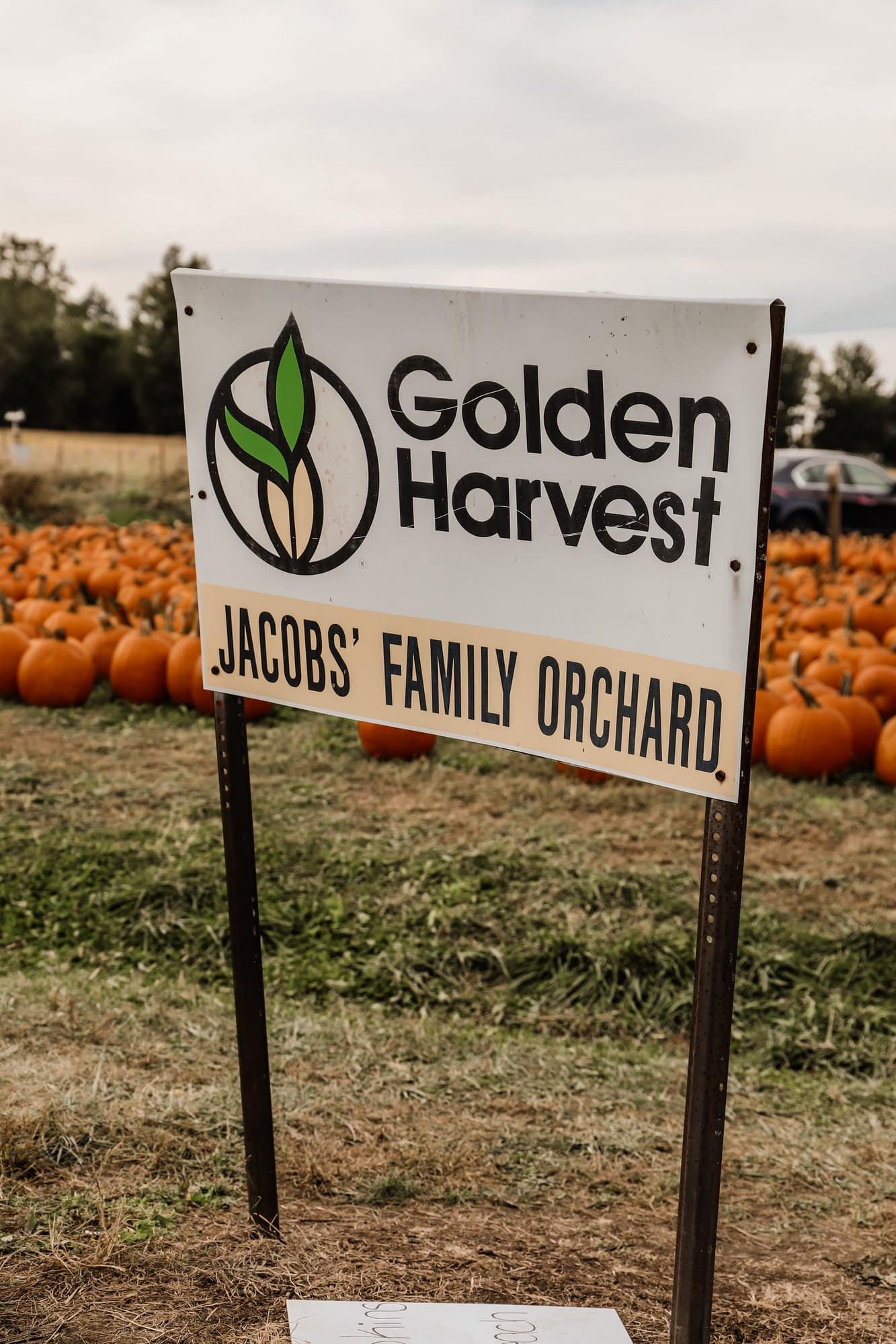 Jacob's Family Orchard