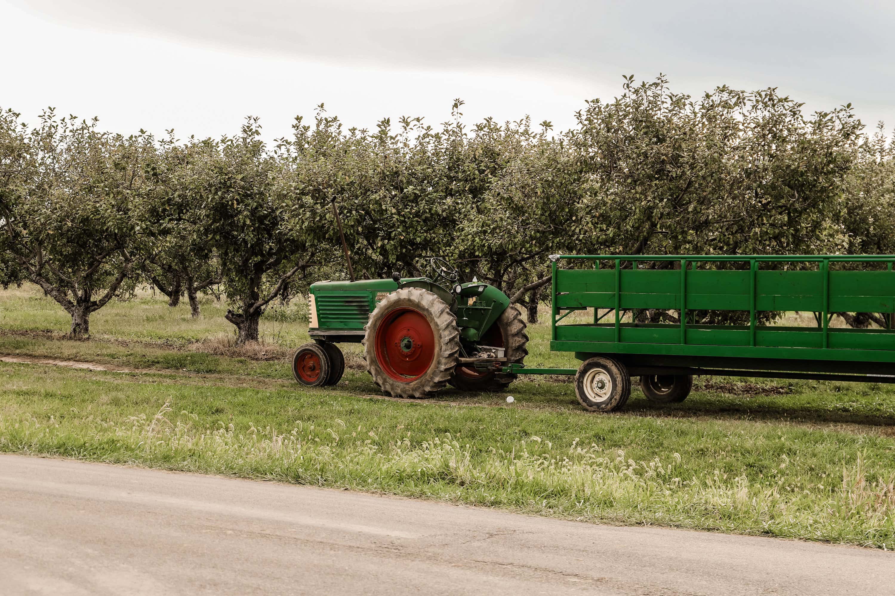 Jacob's Family Orchard