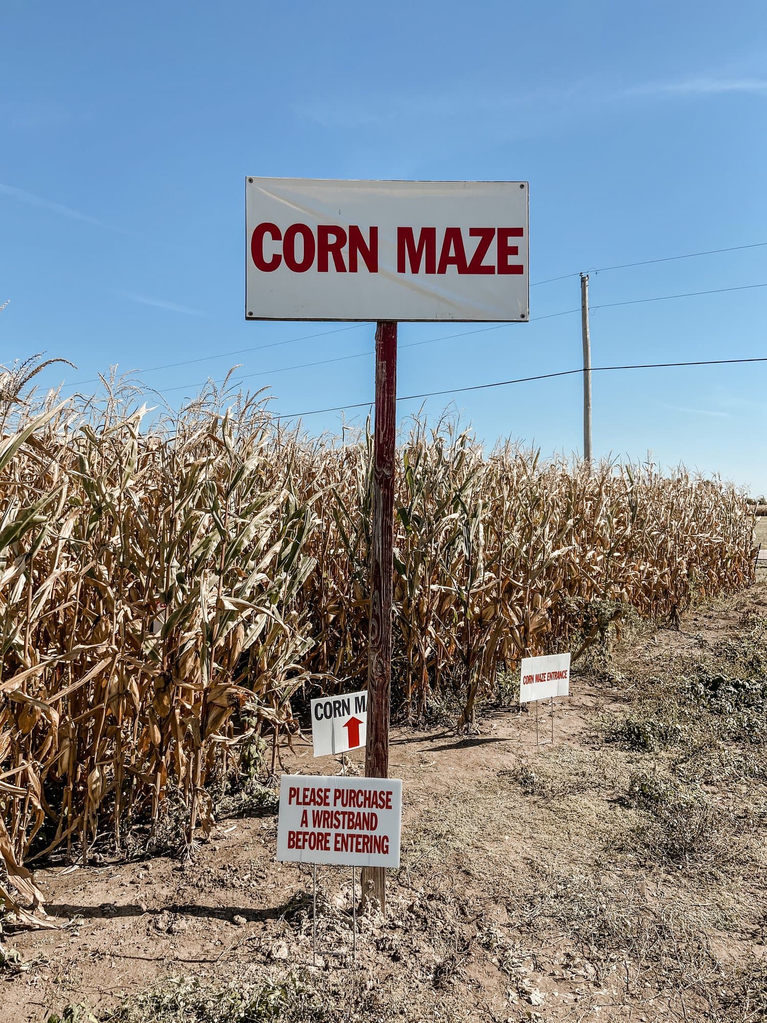 Hogan Farms Pumpkin Patch & Corn Maze