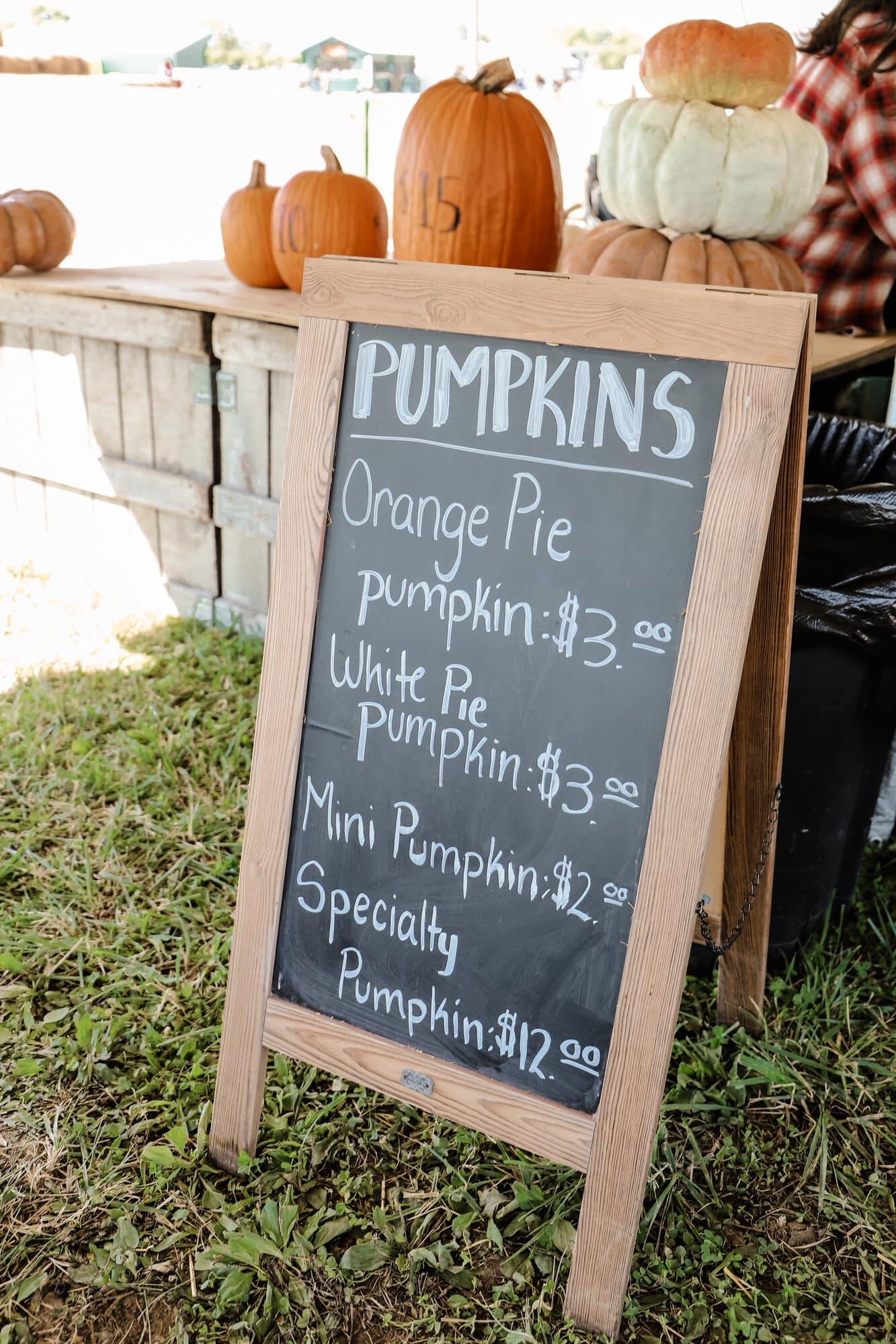 Beasley's Orchard | Indianapolis Apple Orchard & Pumpkin Patch Guide