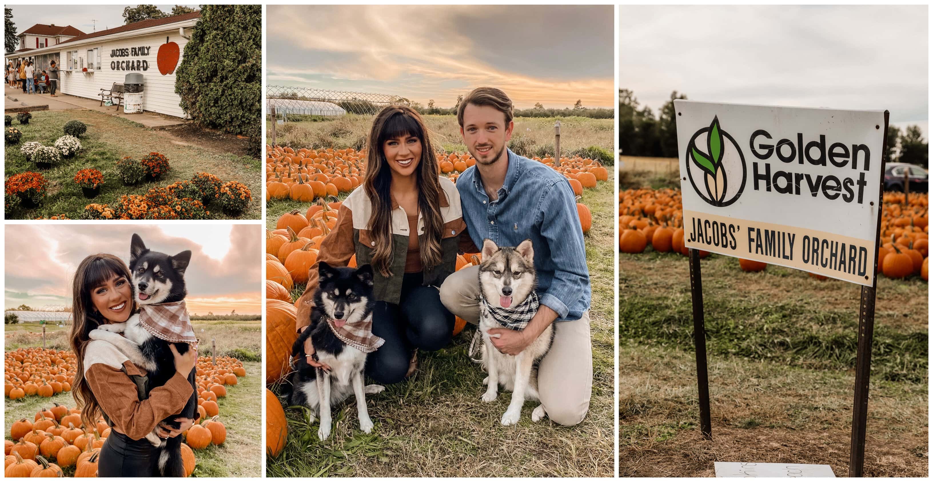 Jacob's Family Orchard