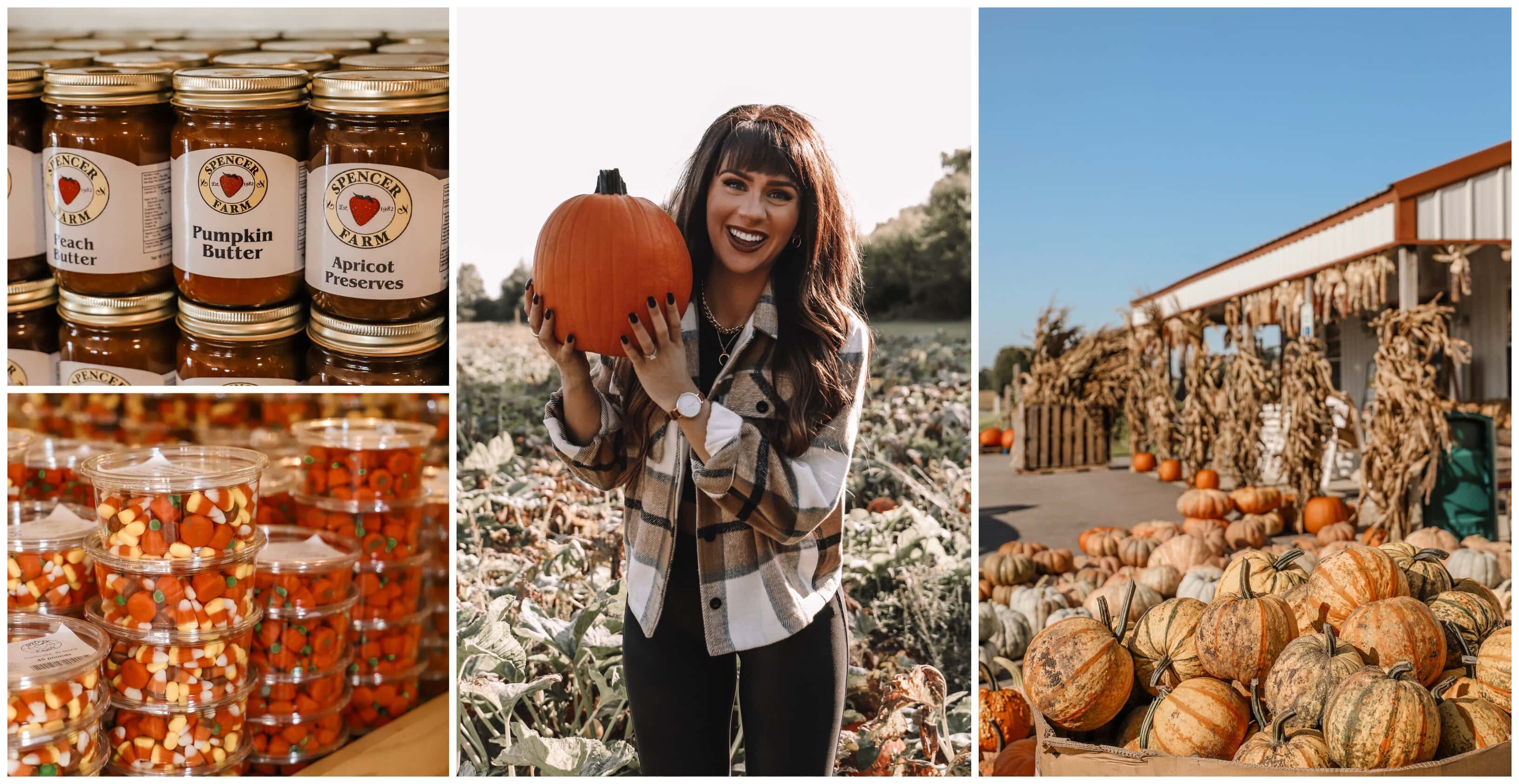 Spencer Farm | Indianapolis Apple Orchard & Pumpkin Patch Guide