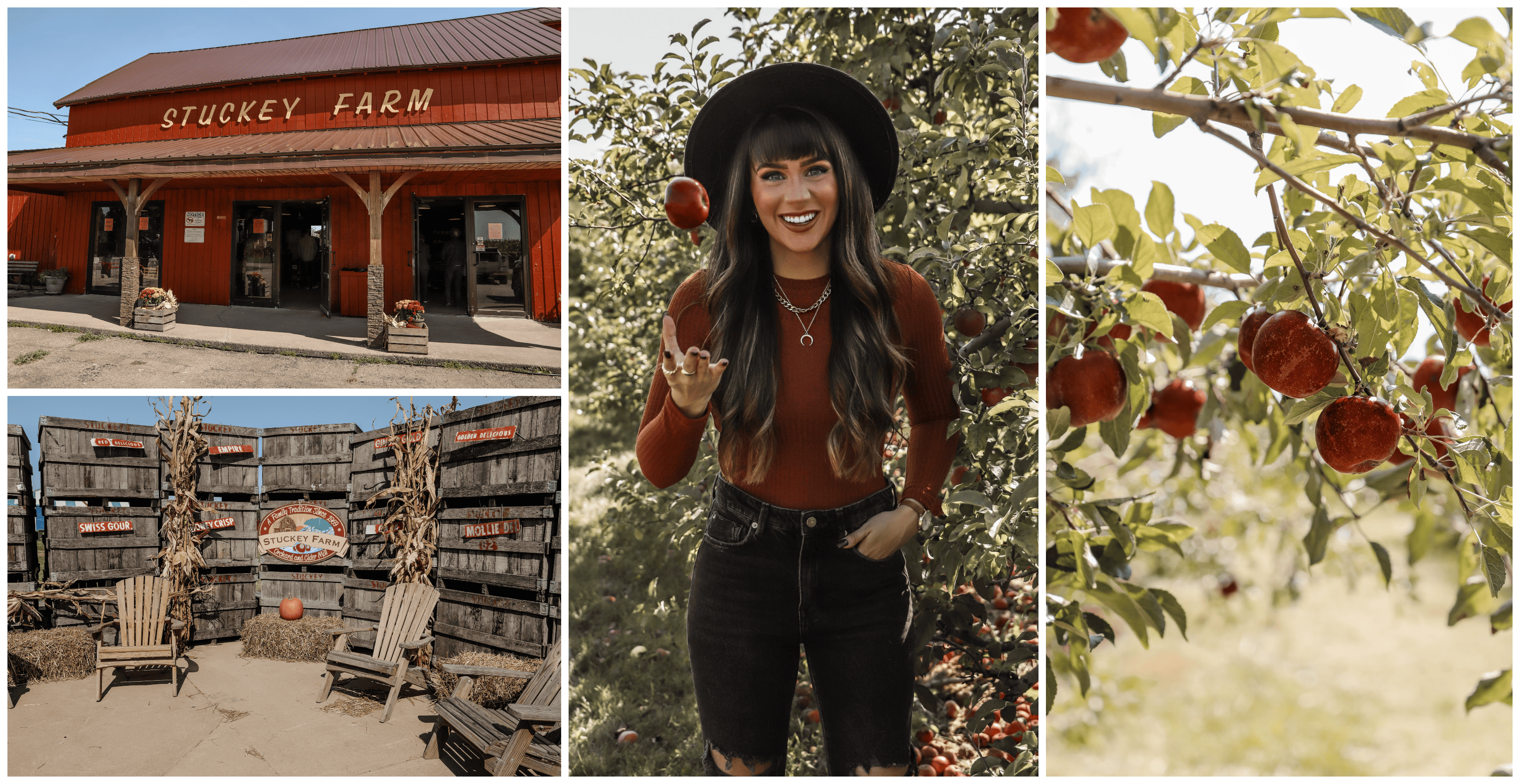 Stuckey Farm | Indianapolis Apple Orchard & Pumpkin Patch Guide