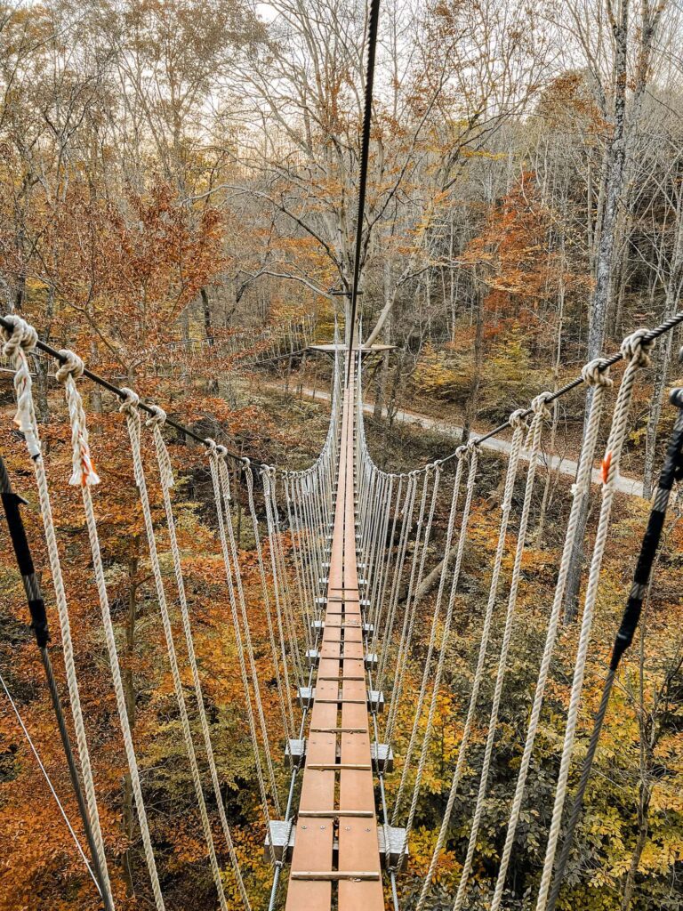 Hocking Hills Canopy Tours