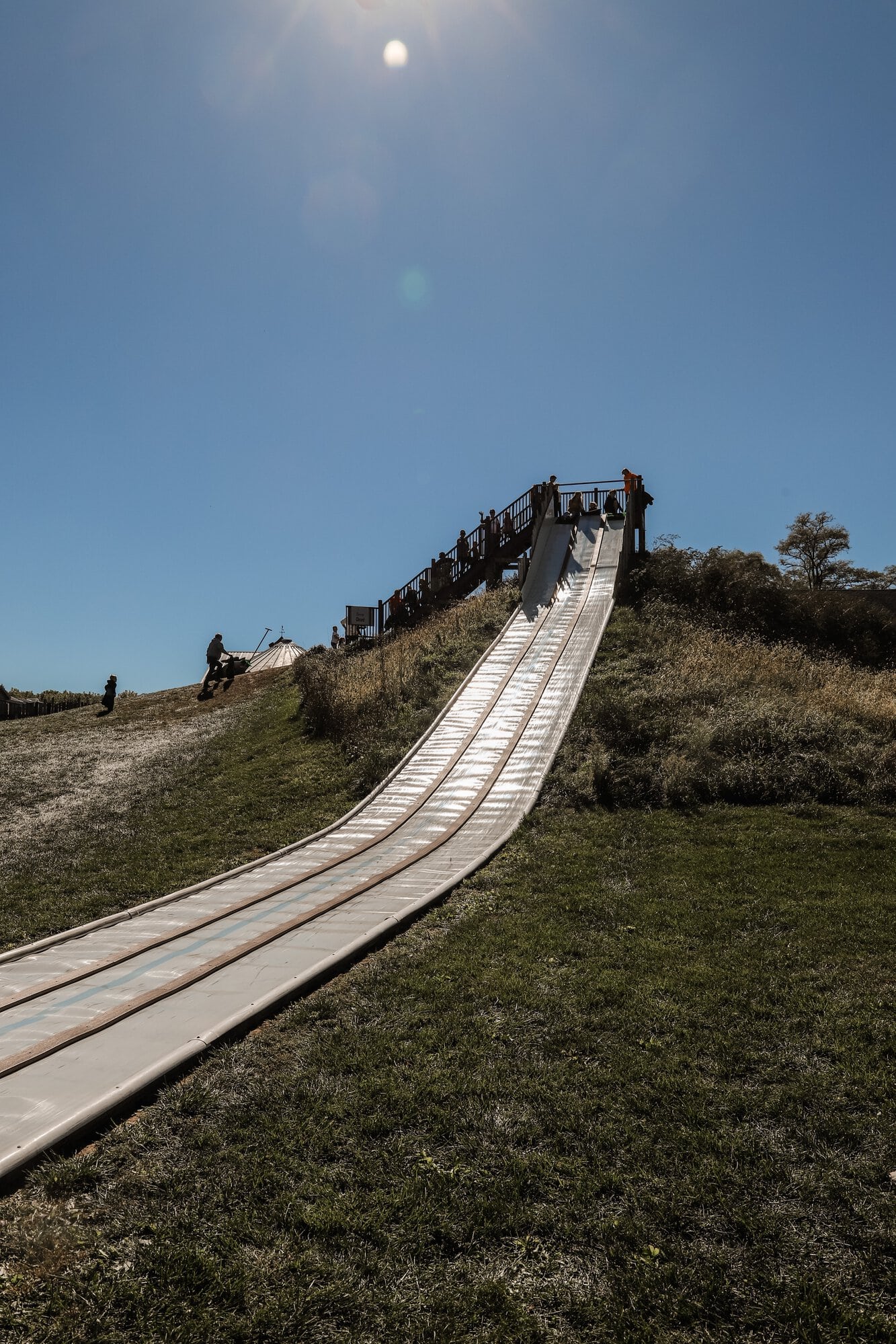 Dull's Tree Farm & Pumpkin Patch