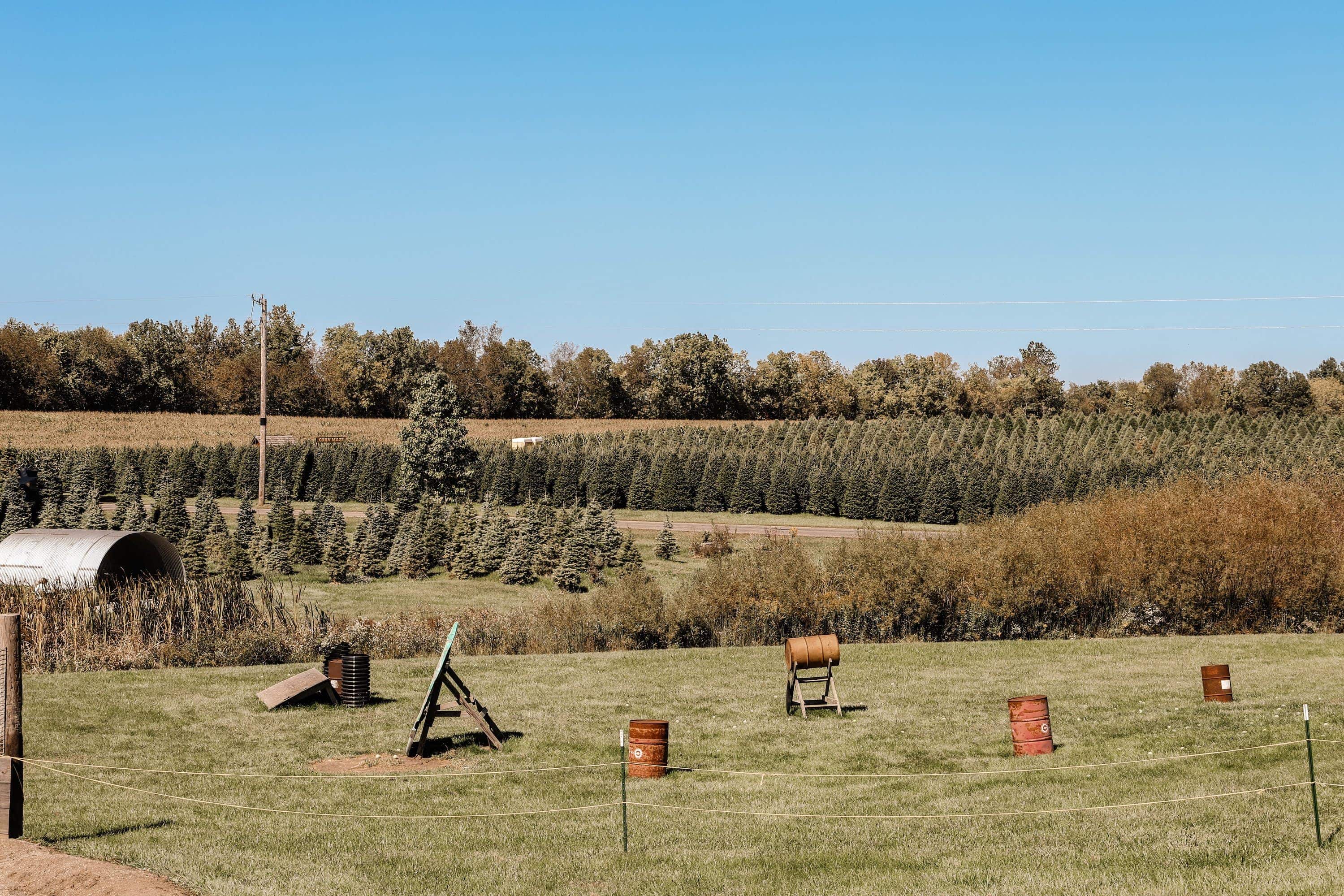 Dull's Tree Farm & Pumpkin Patch