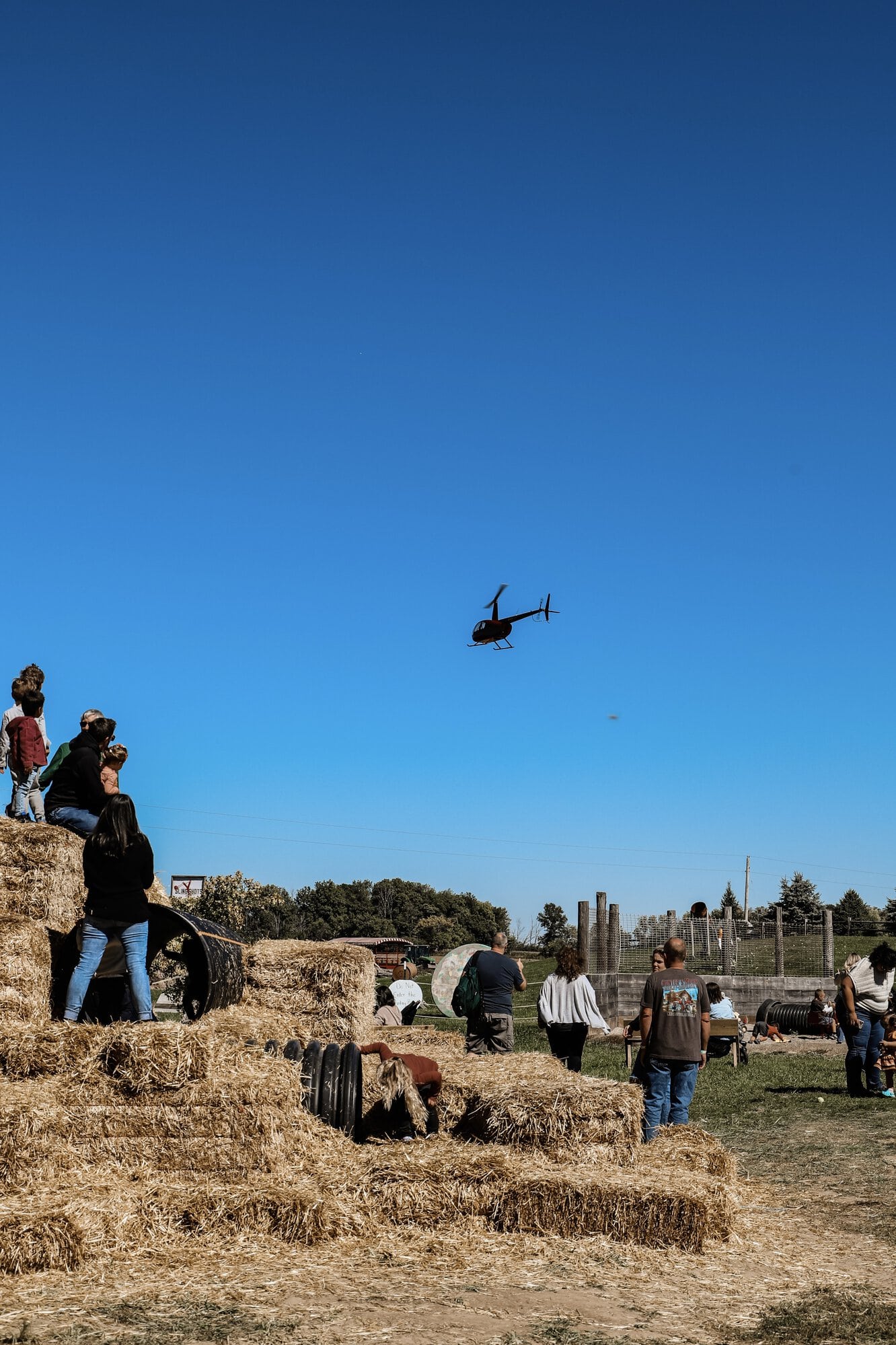 Dull's Tree Farm & Pumpkin Patch