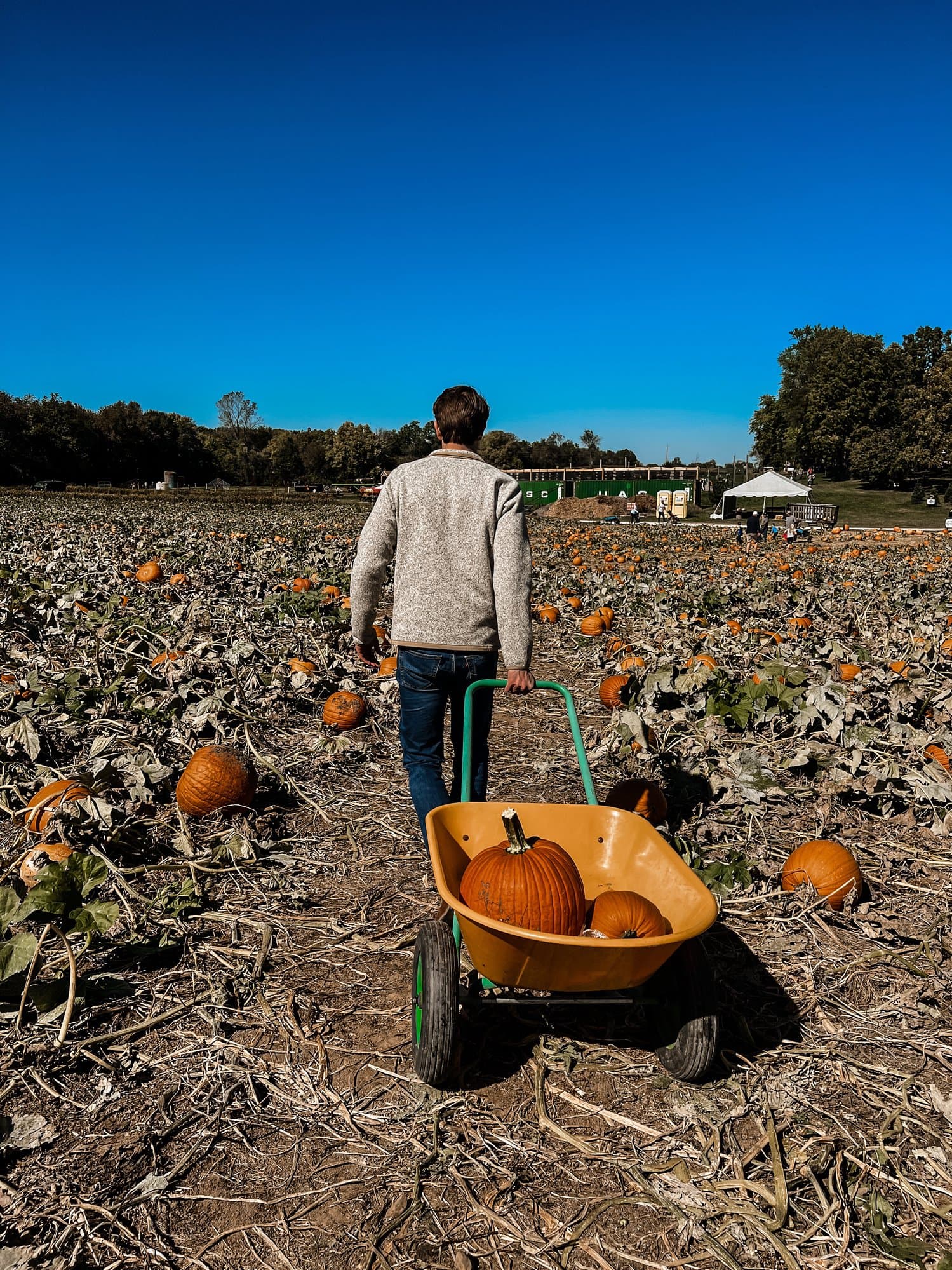 Dull's Tree Farm & Pumpkin Patch