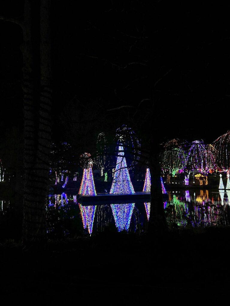 Columbus Zoo and Aquarium Wildlights winter