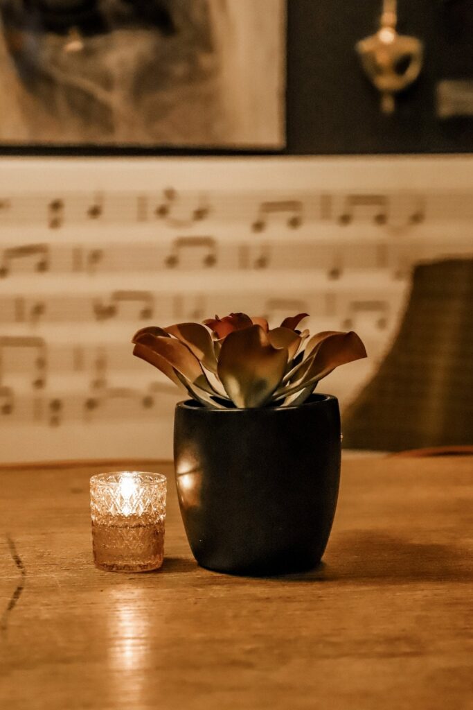 succulent decor with candle