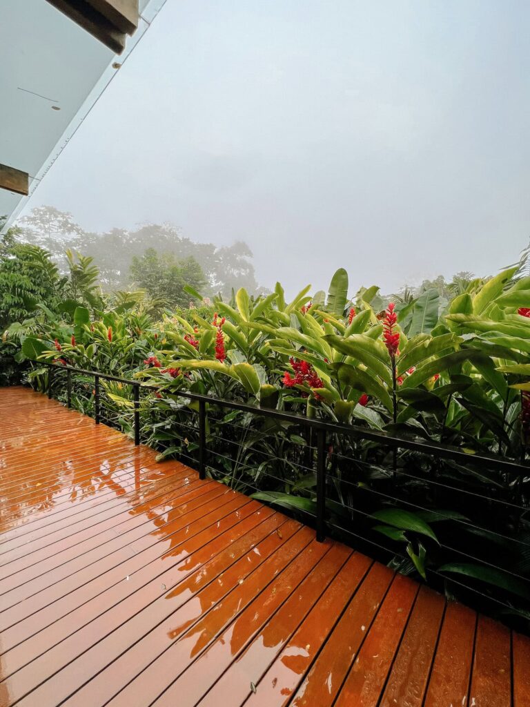 Amor Arenal Rainforest balcony