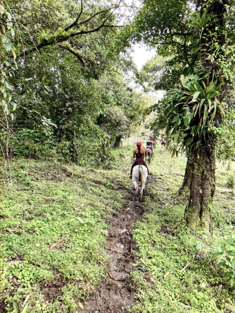 Arenal Horseback Riding experience